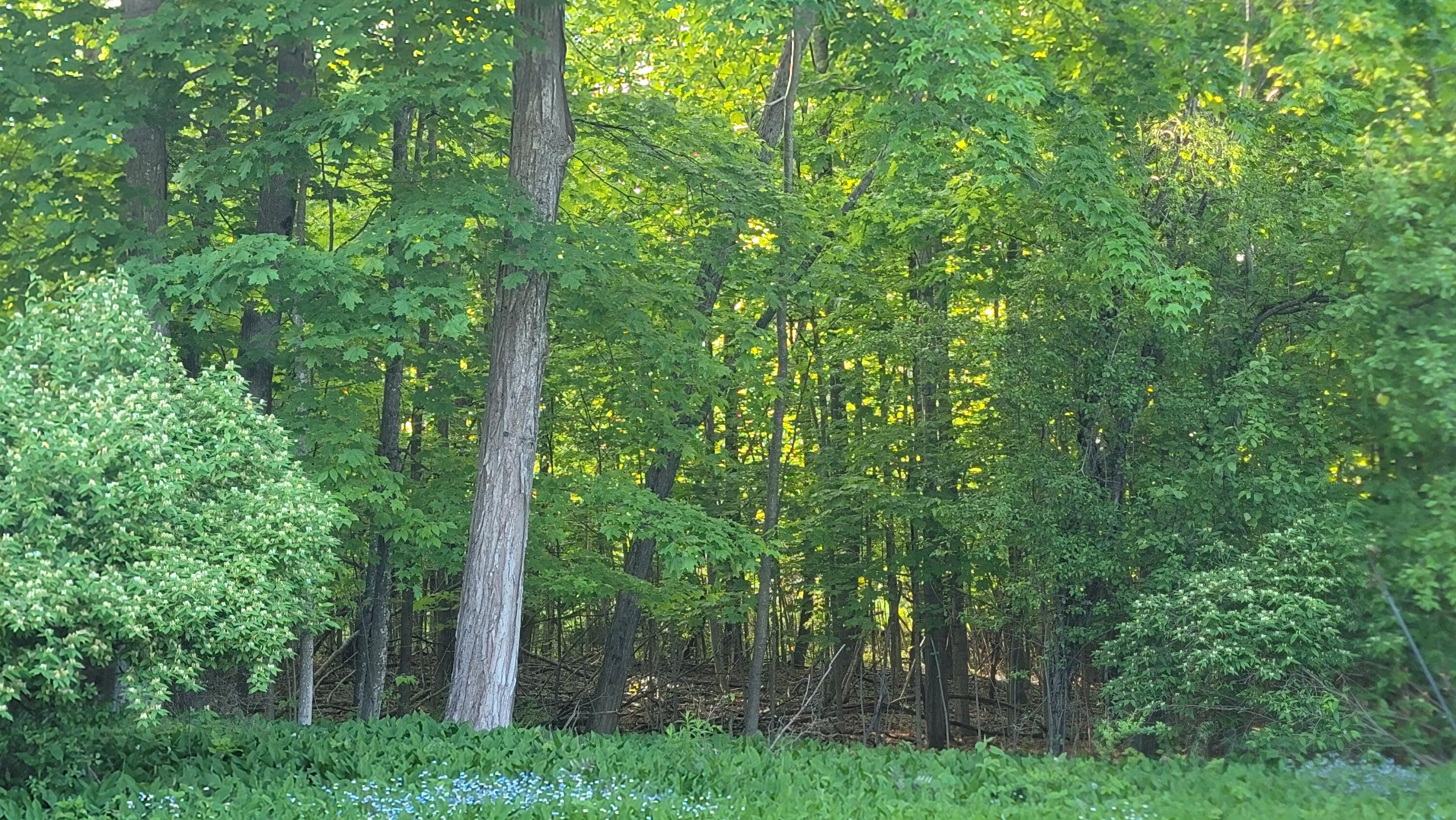 UNIT&nbsp;26&27 Main Street, Calais, ME, 04619