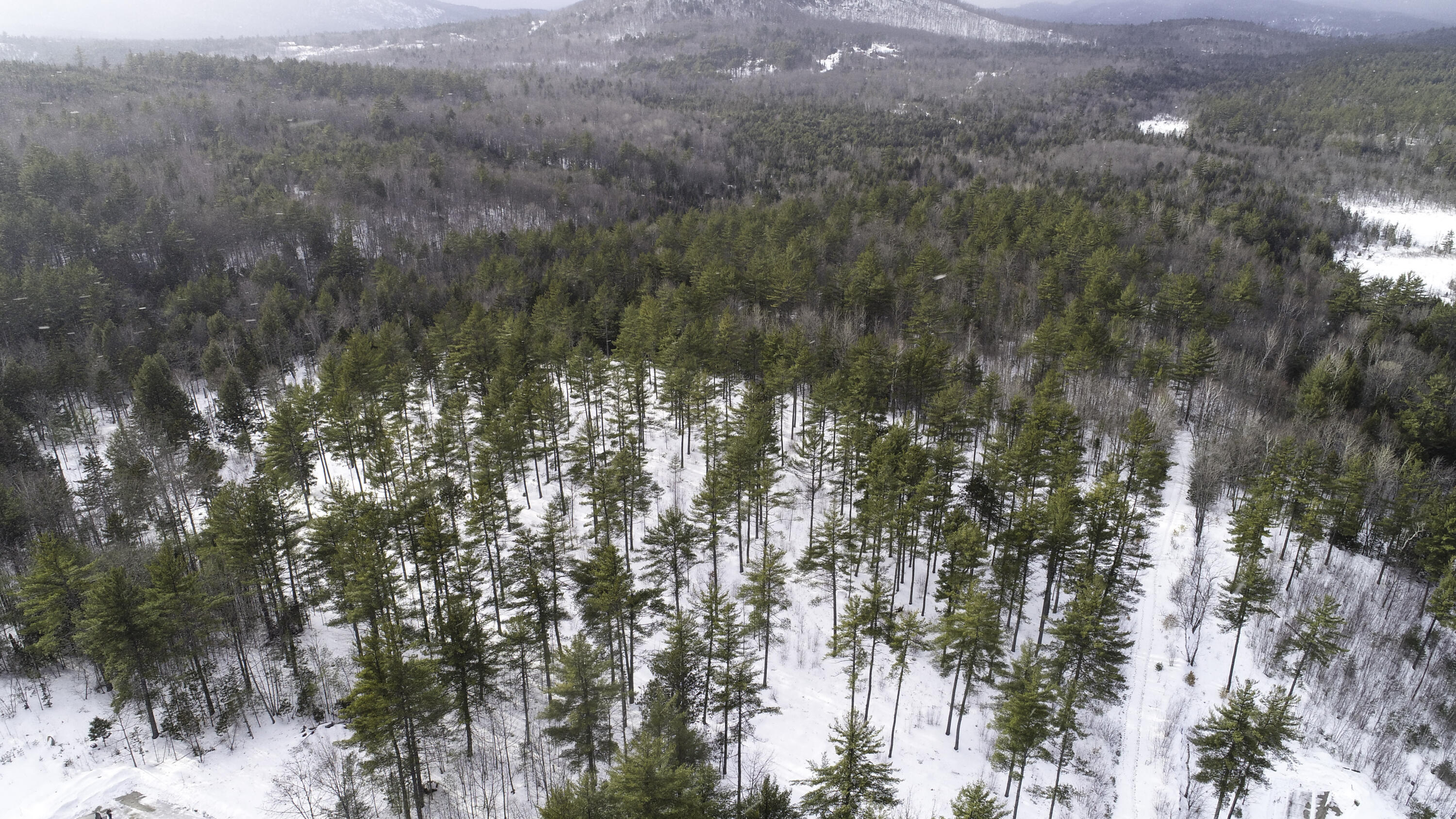 Lot 1 Lyman Wheeler Road, Bethel, ME, 04217