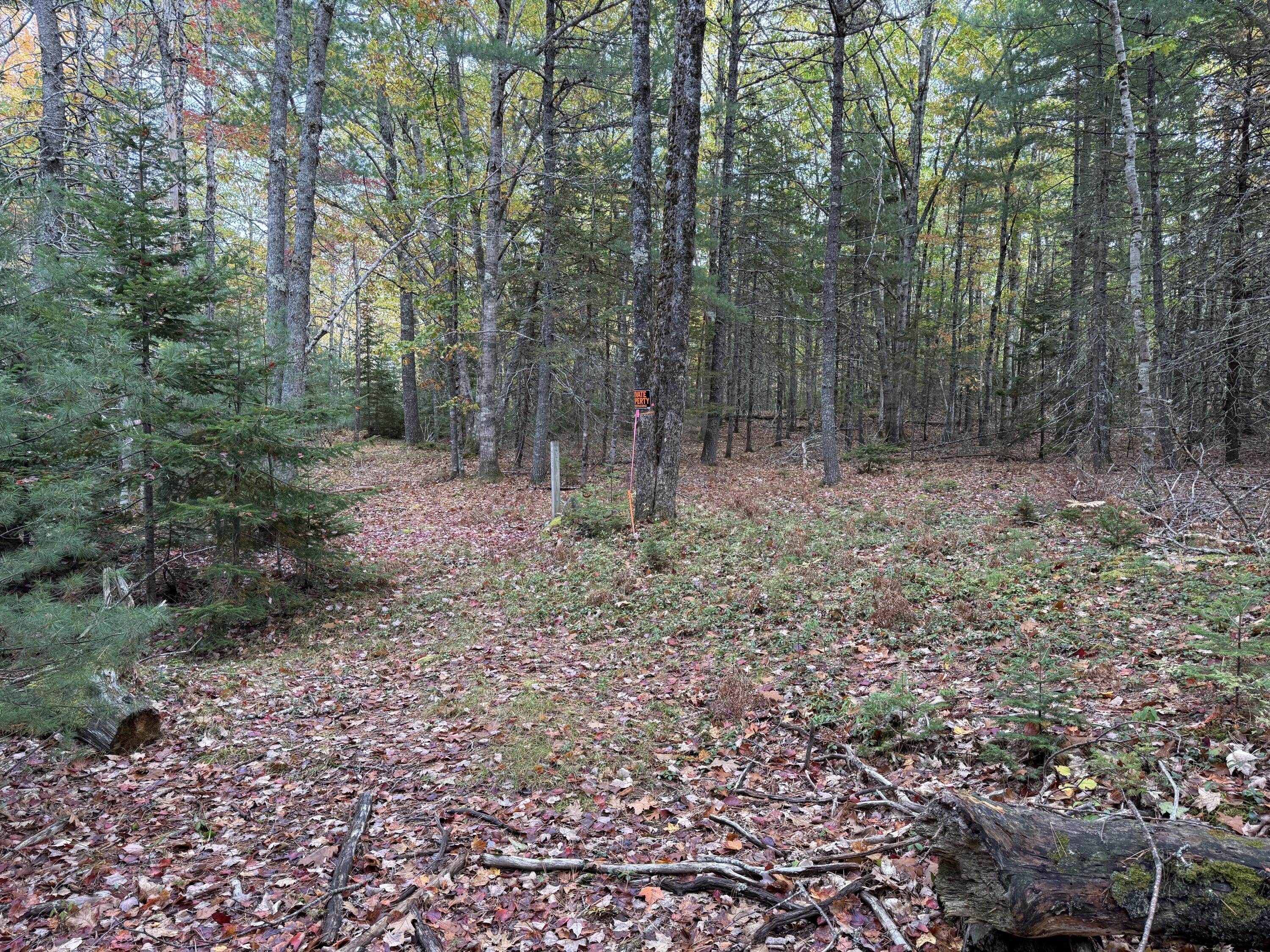 63-3 Oak Grove Road, Mount Desert, ME, 04660