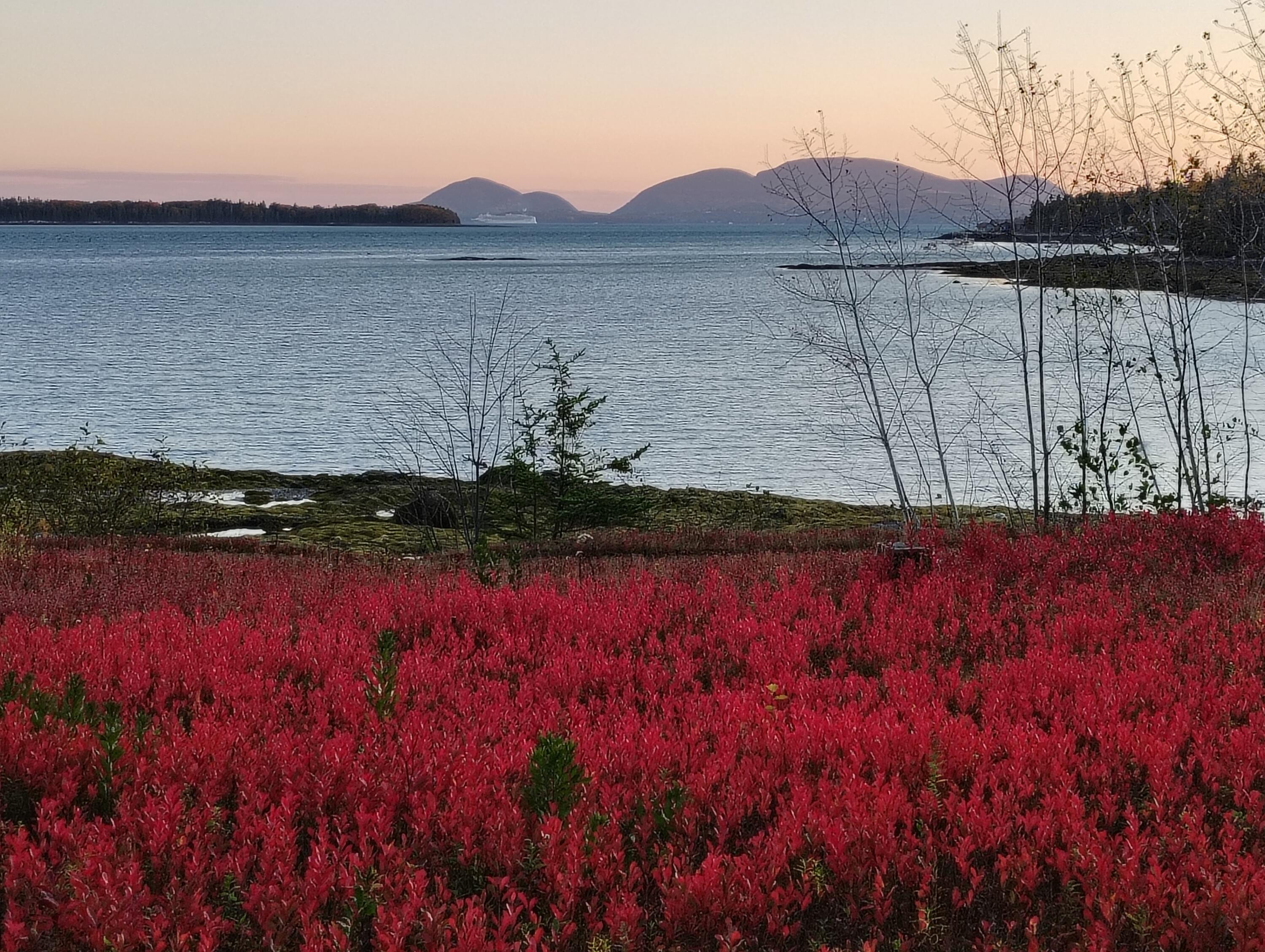 103 Gull Rock Road, Hancock, ME, 04640