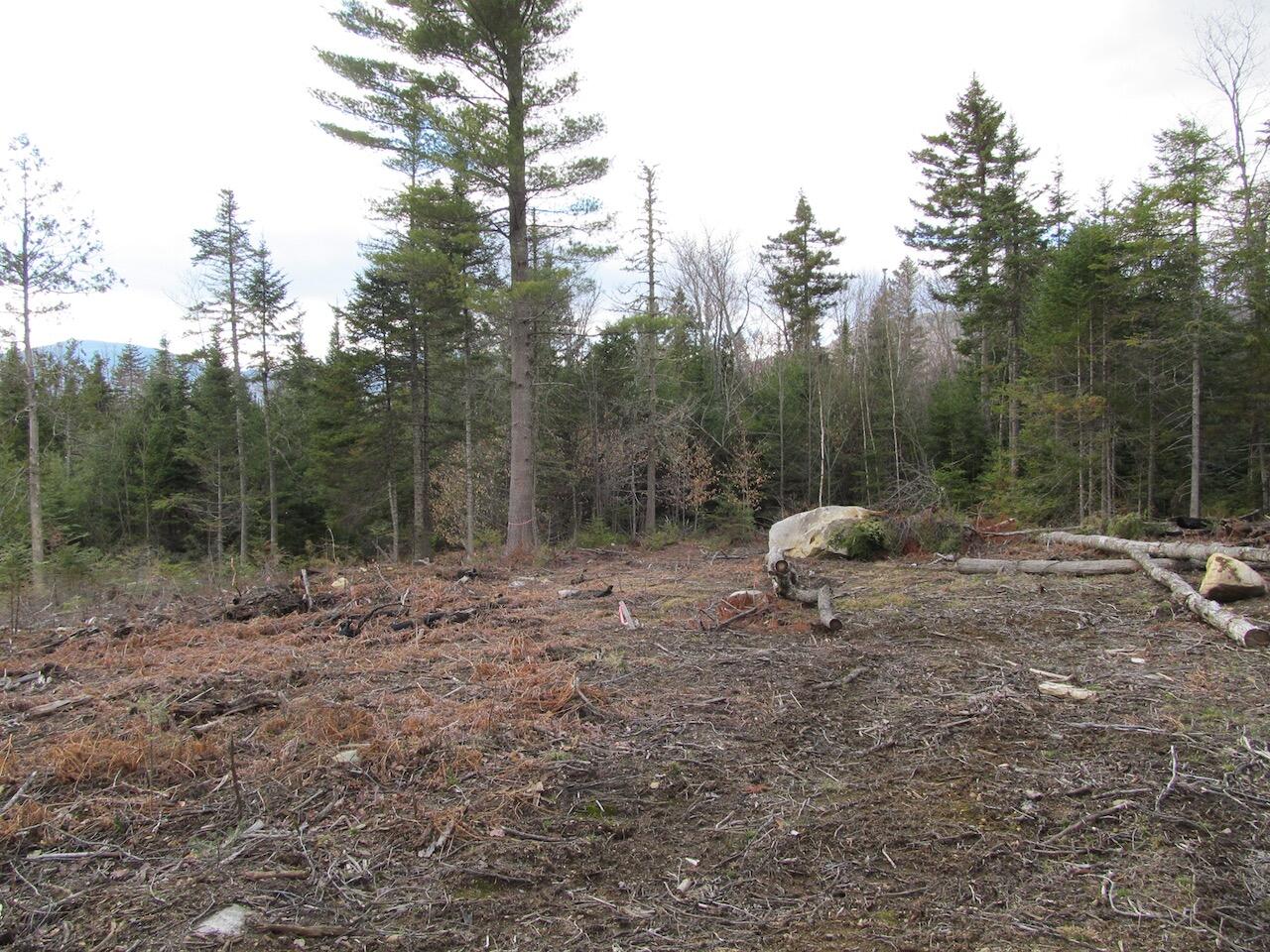 923 Center Hill Road, Weld, ME, 04285