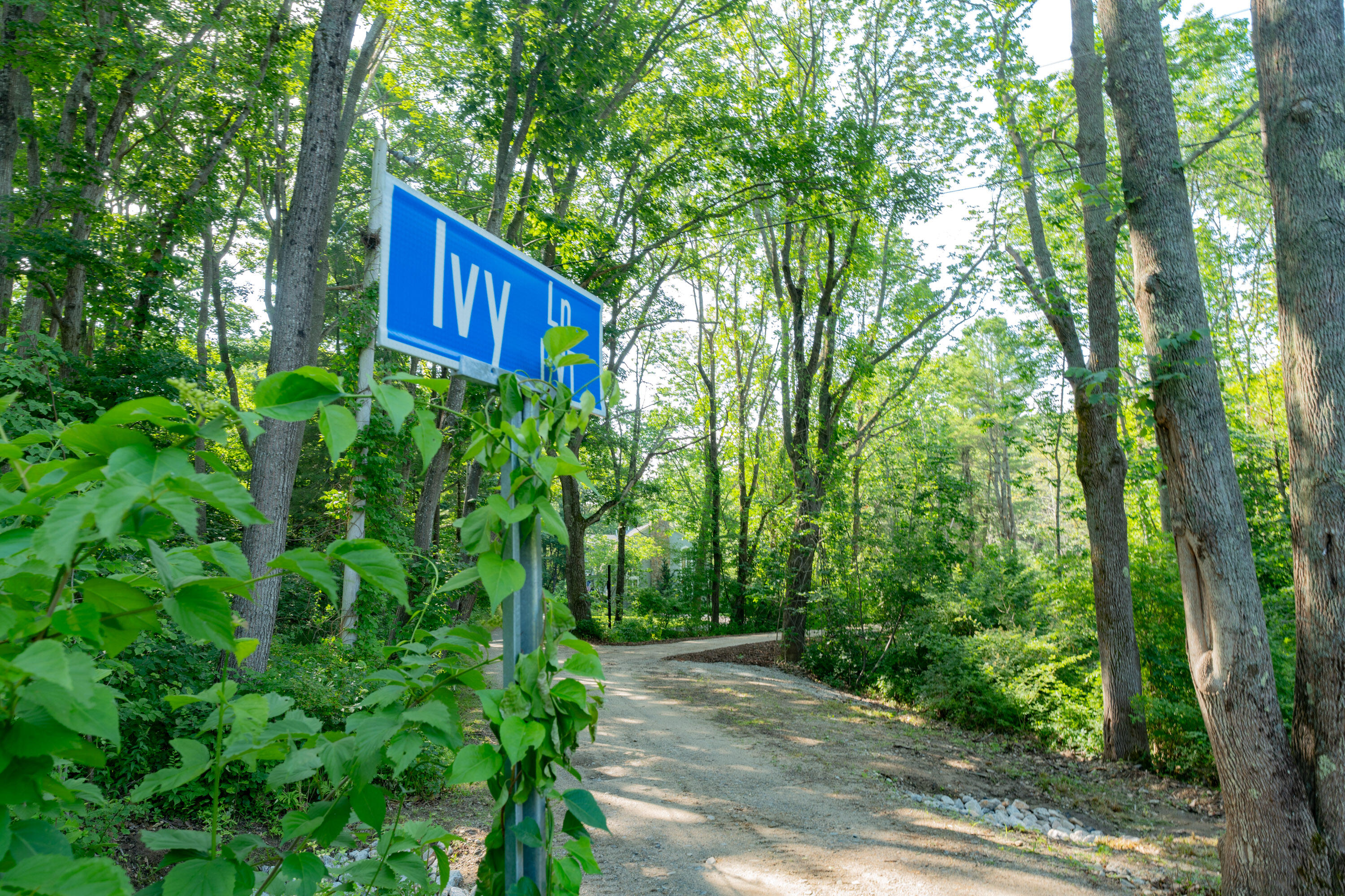 Search Homes for Sale