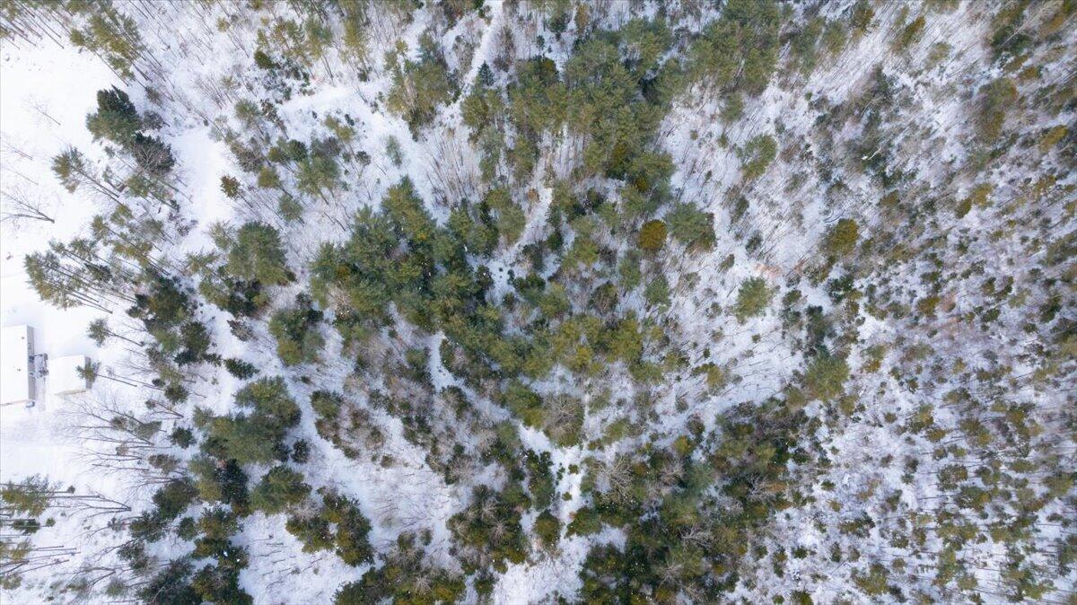 Lot 19 Dorr Road, Wiscasset, ME, 04578