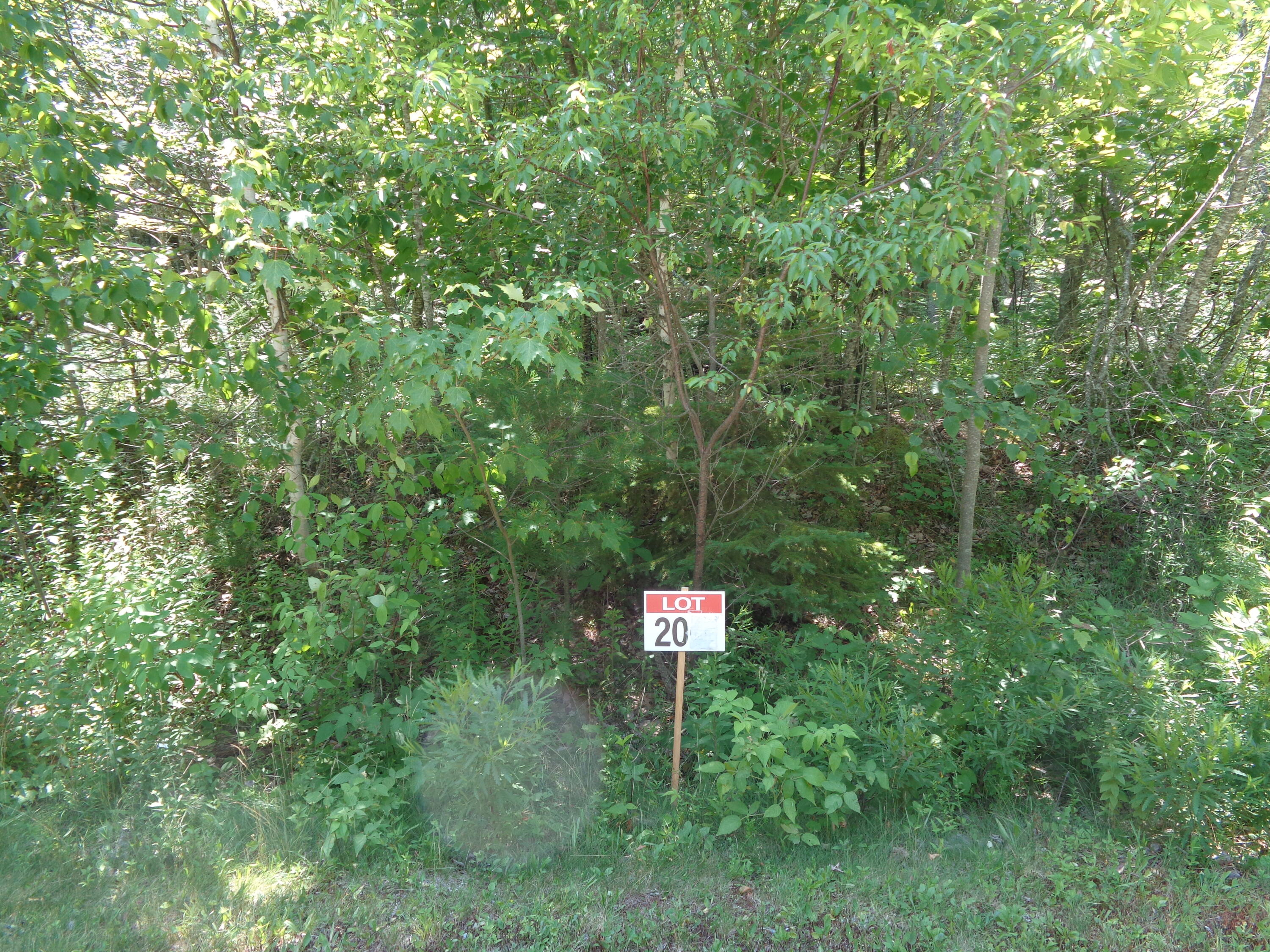 Photo of Lot20-20 Bailey Mountain Road Franklin ME 04634