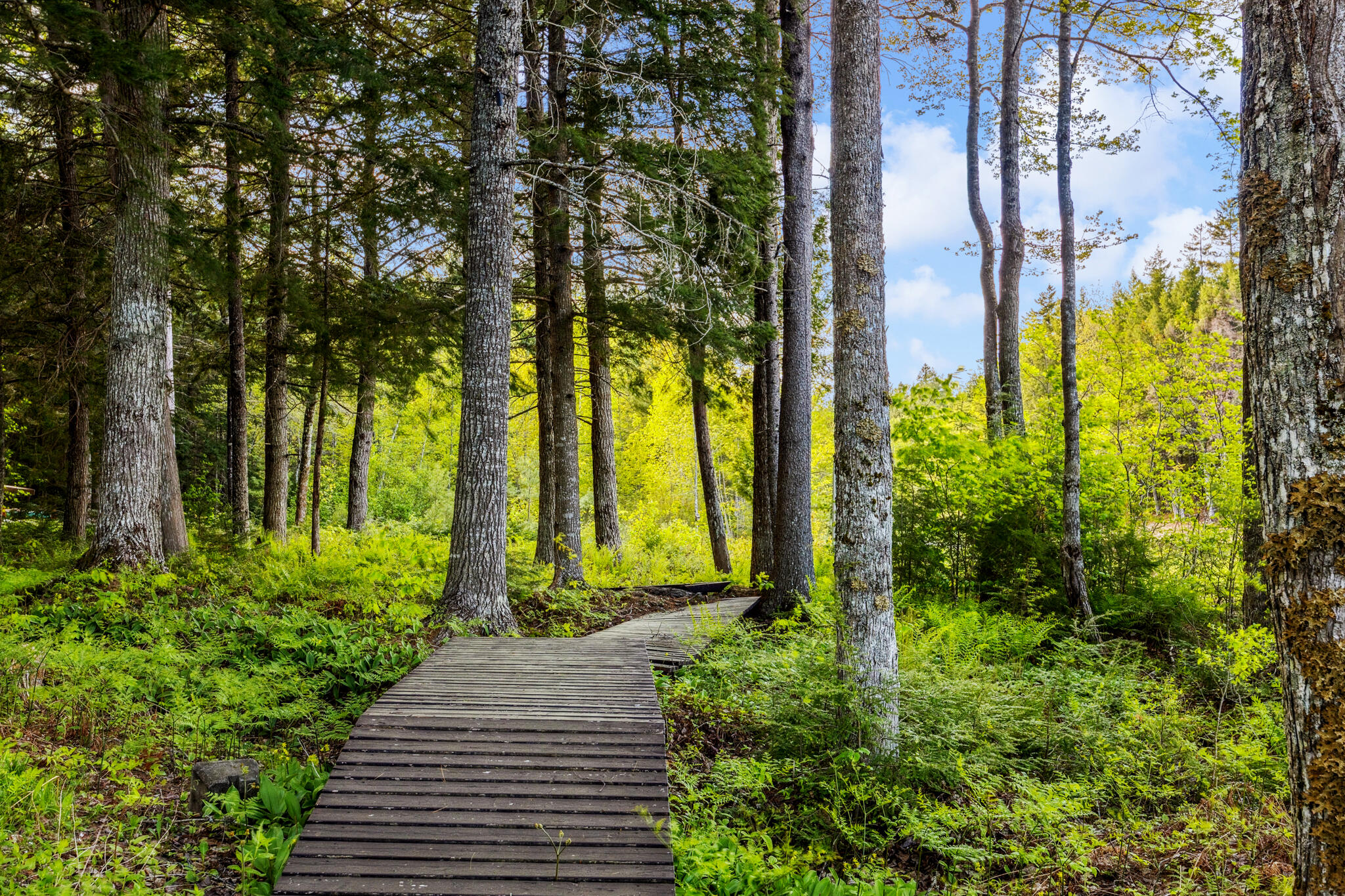 95 Silsby Road, Mariaville, ME, 04605