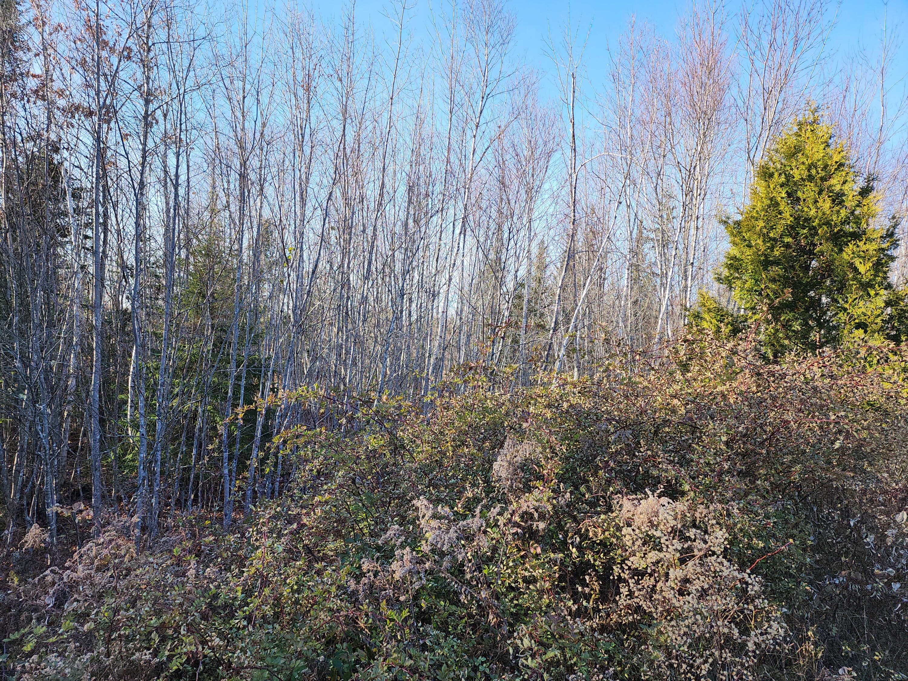 35 Trout Brook Lane, Searsport, ME, 04974