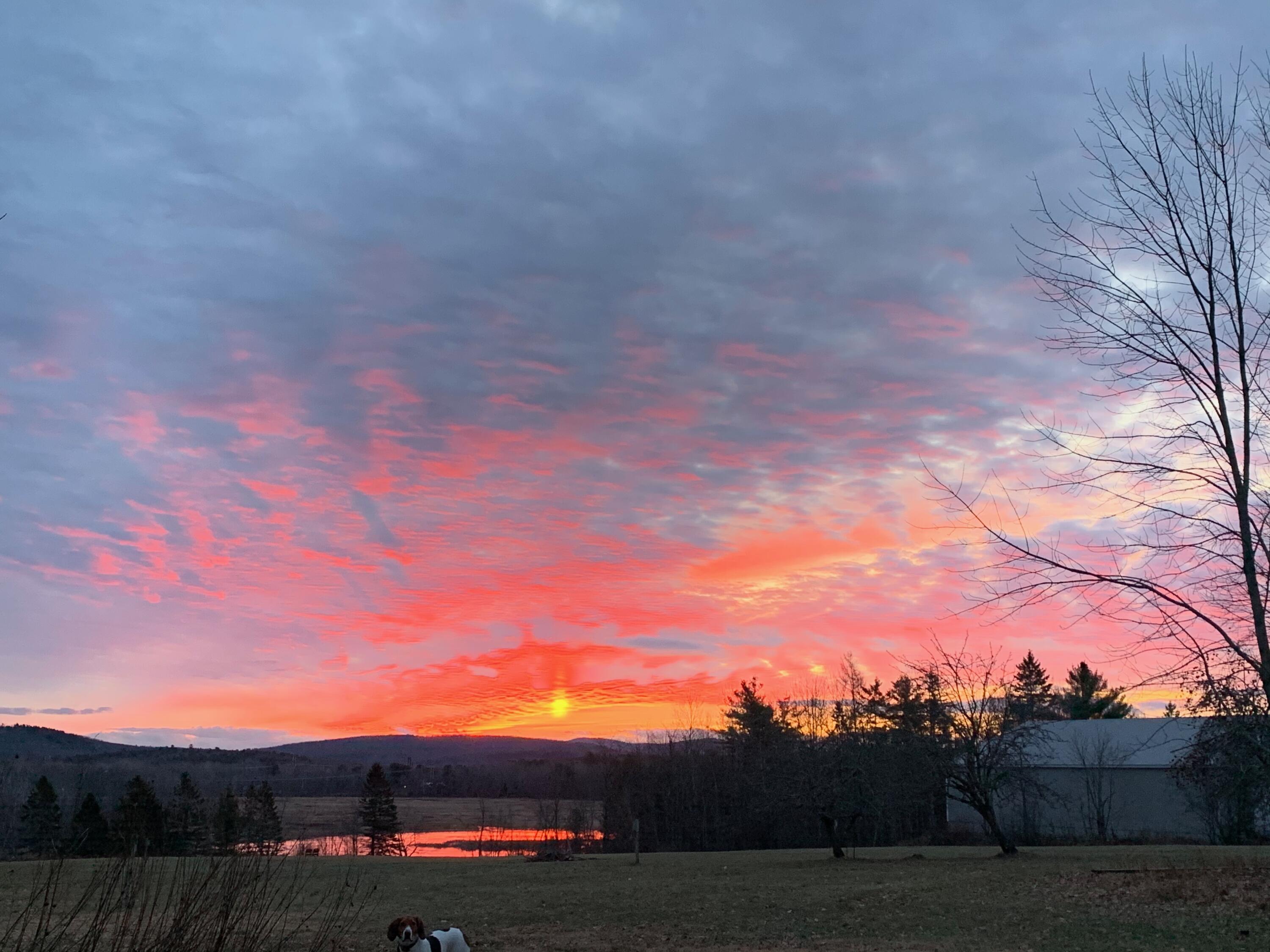 42 Fowler Road, Orrington, ME, 04474