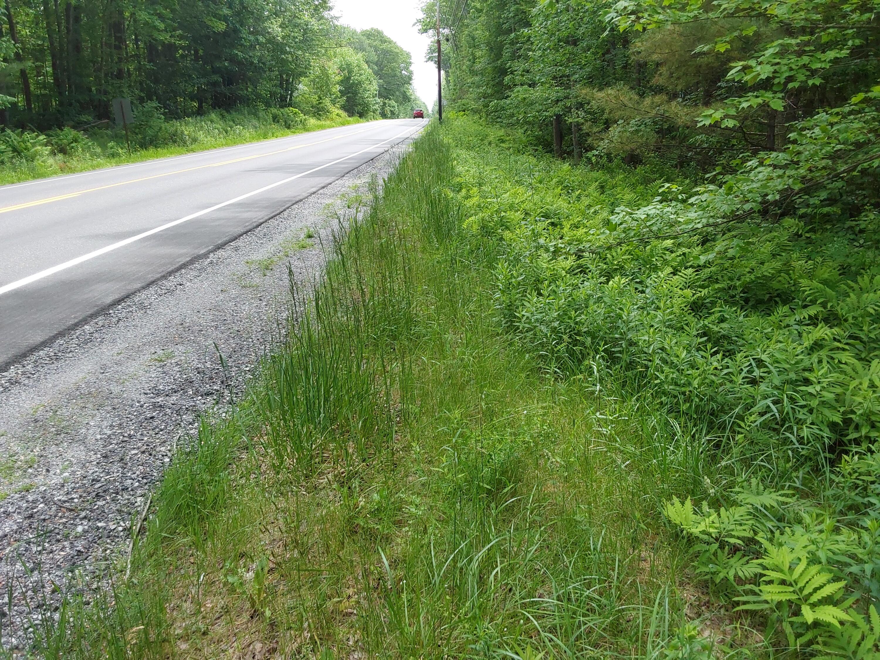 M19-L16-1 Augsuta Road, Jefferson, ME, 04348