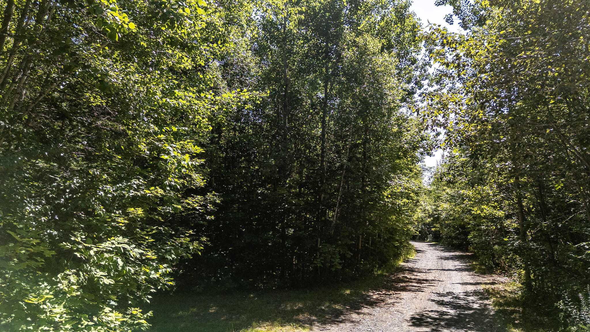 Lot 18-5 Woodland Lane, #Map 2, Brownville, ME 04414 DJI_20260720102125_0109_D