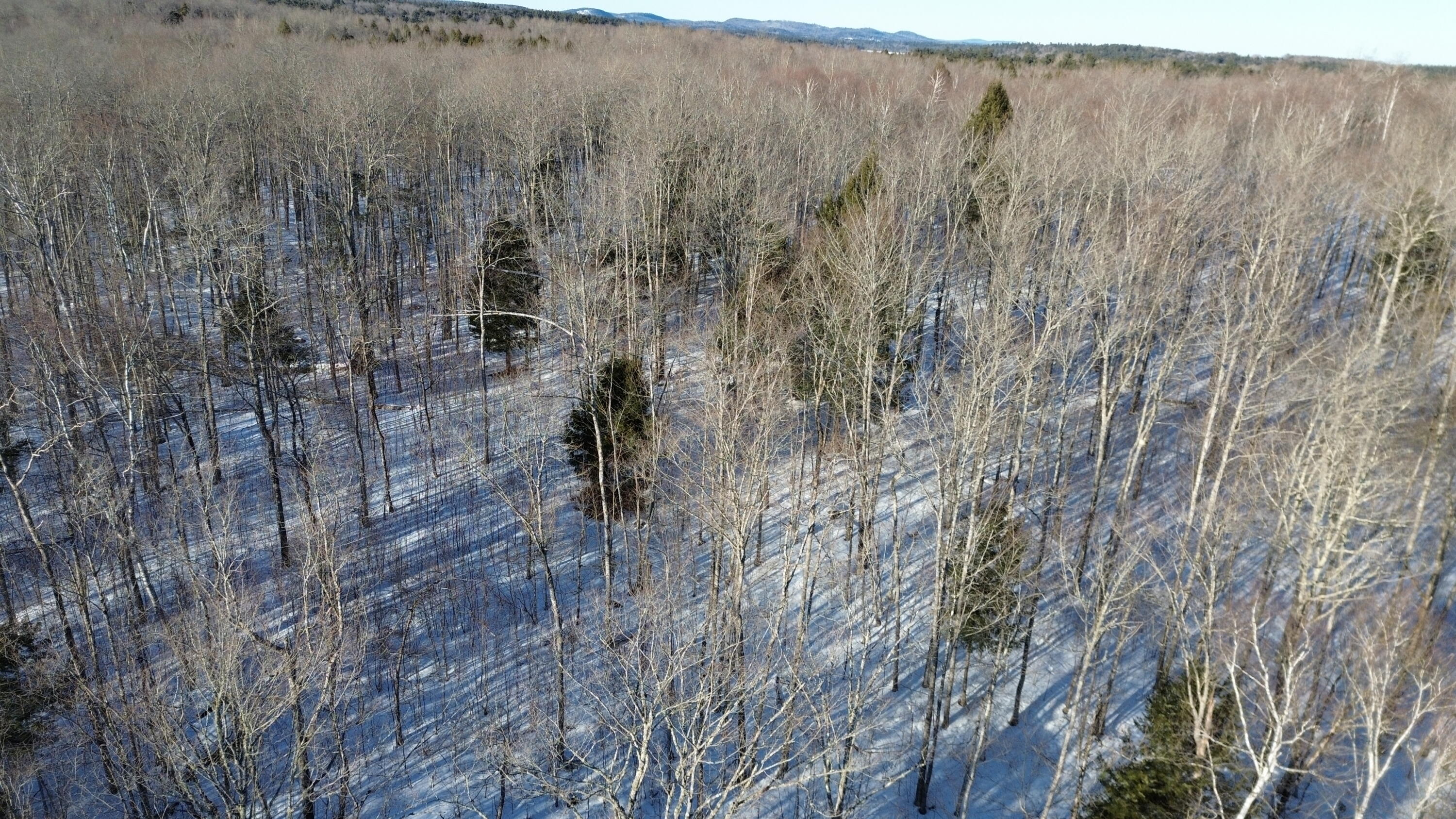 M7L22 Nelson Ridge Road N, Washington, ME, 04574