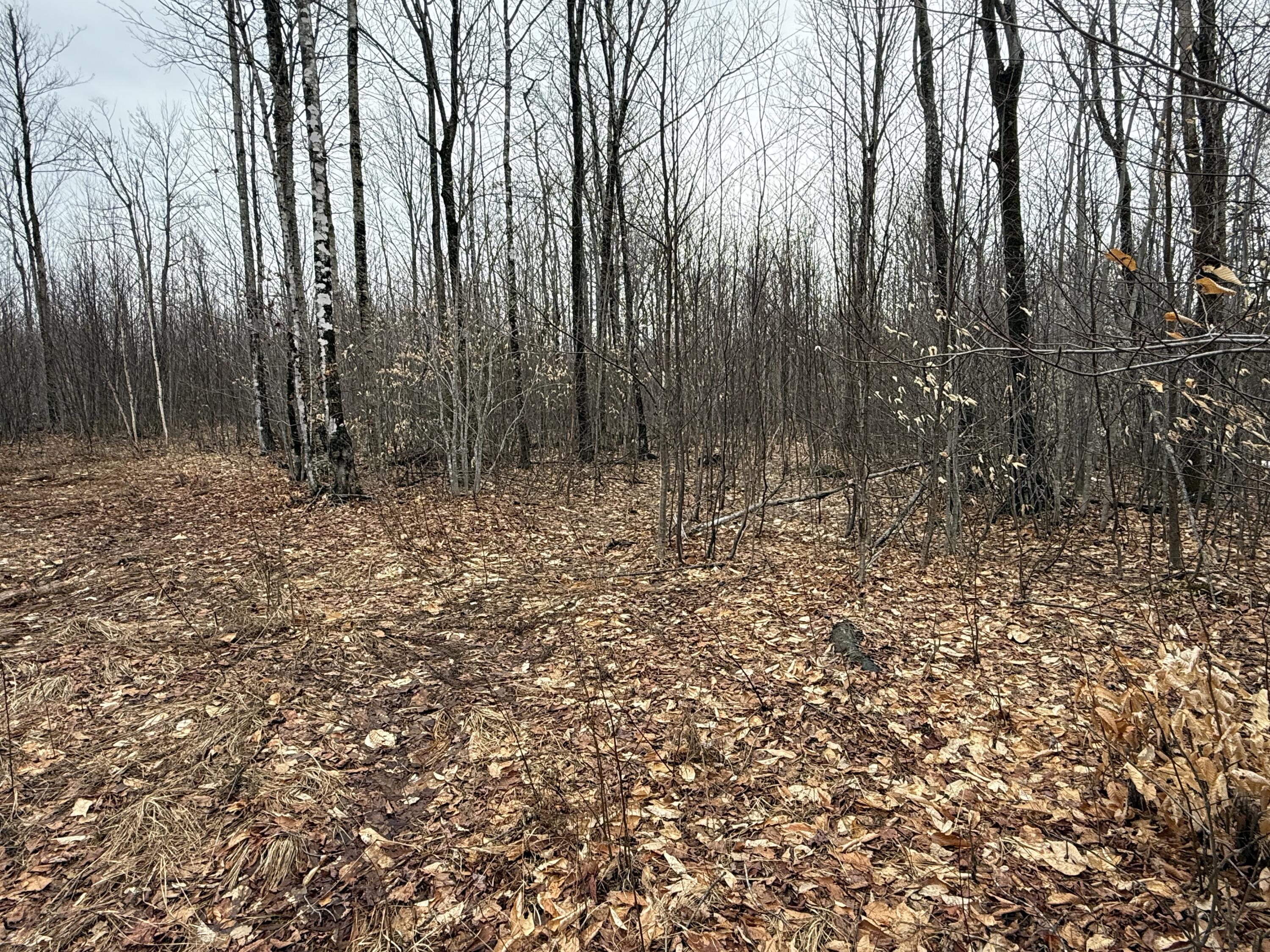 Lot 13W Mountain View Drive, Temple, ME, 04984