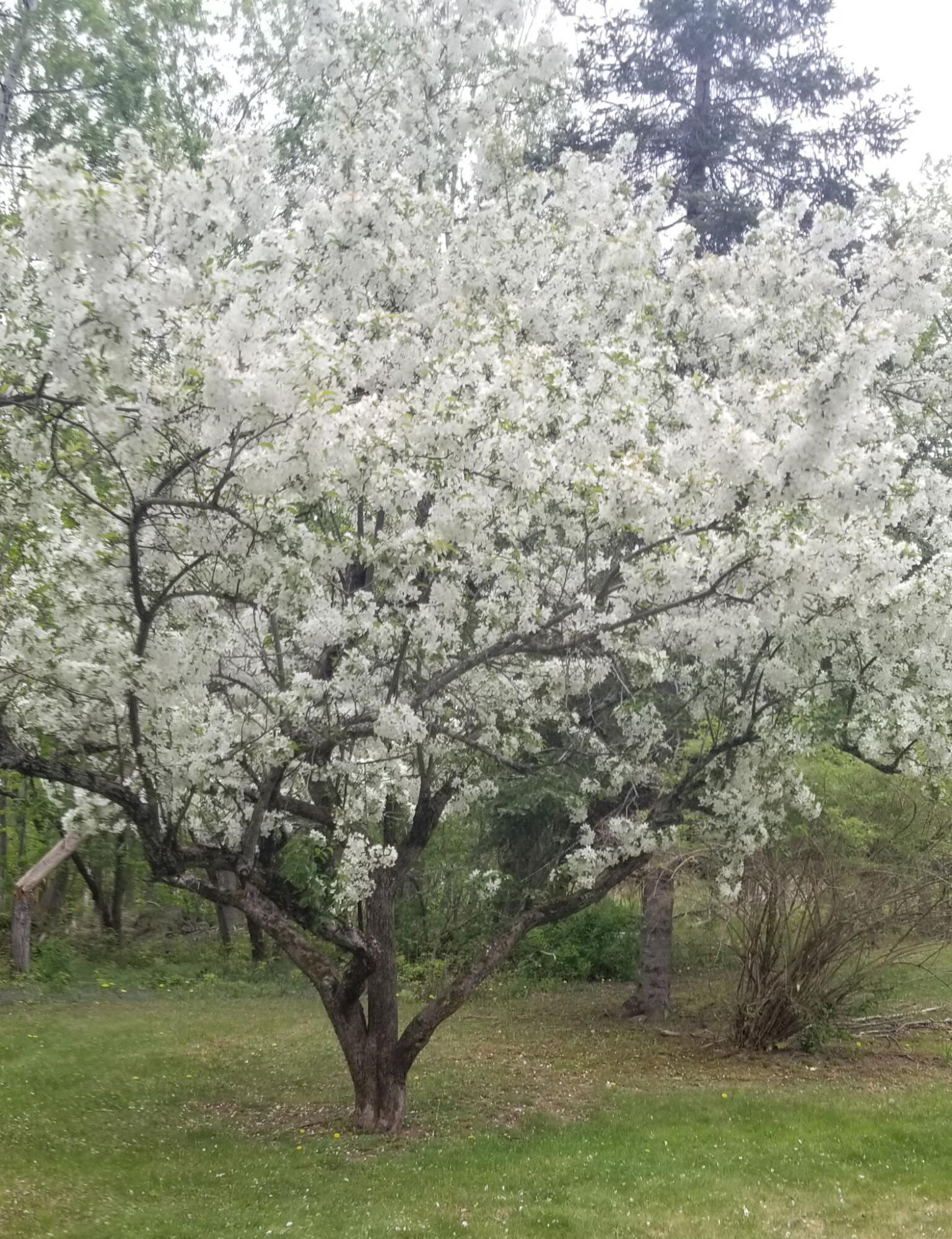 1522 Pushaw Road, Glenburn, ME, 04401