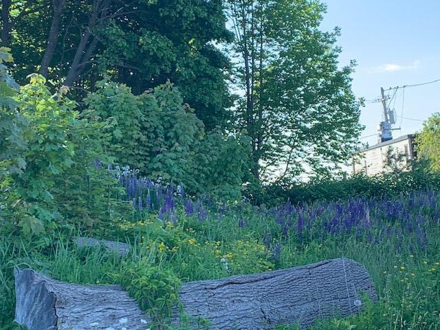 1 Miller Street, Belfast, ME, 04915