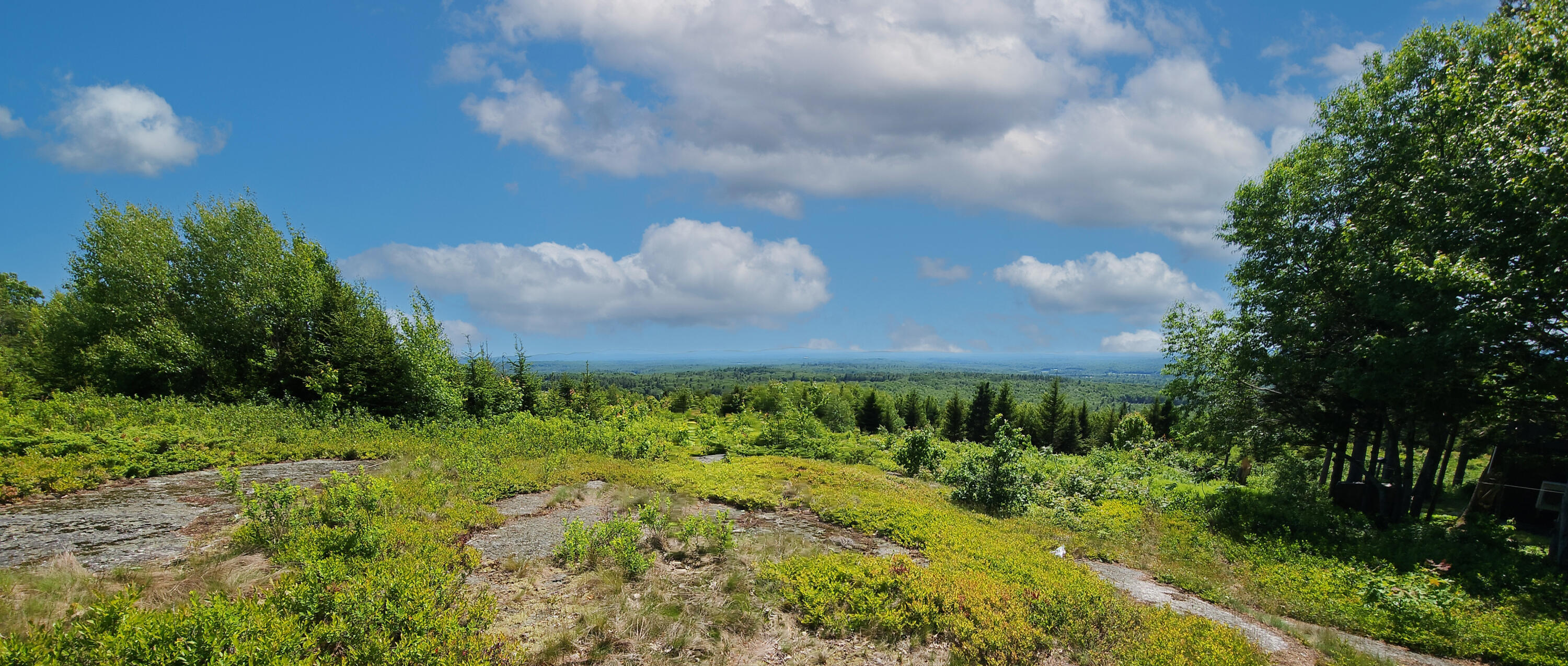 533 Mount Ephraim Map 4 Lot 63 Road, Searsport, ME, 04974