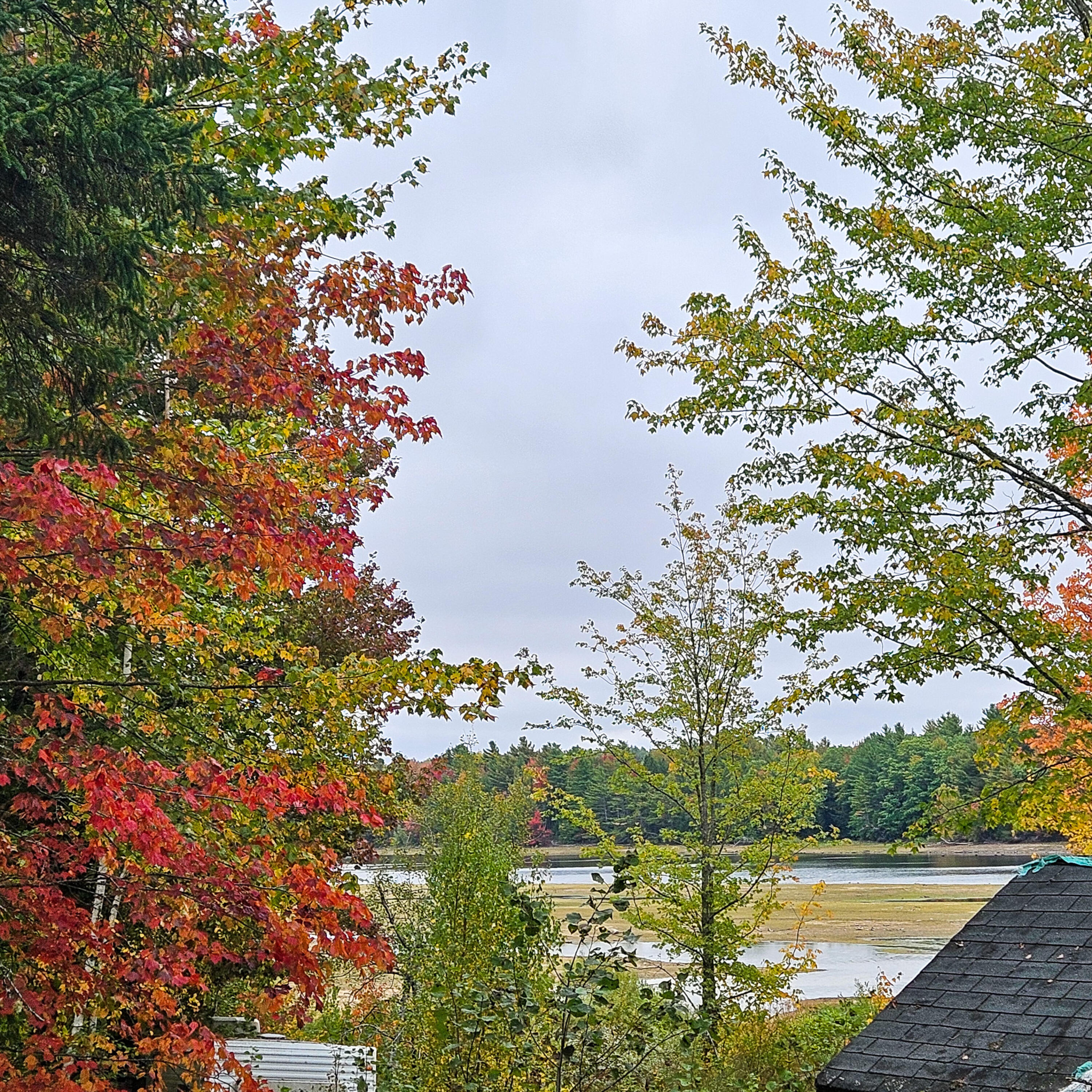 206 Morrison Farm Road, Mariaville, ME, 04605