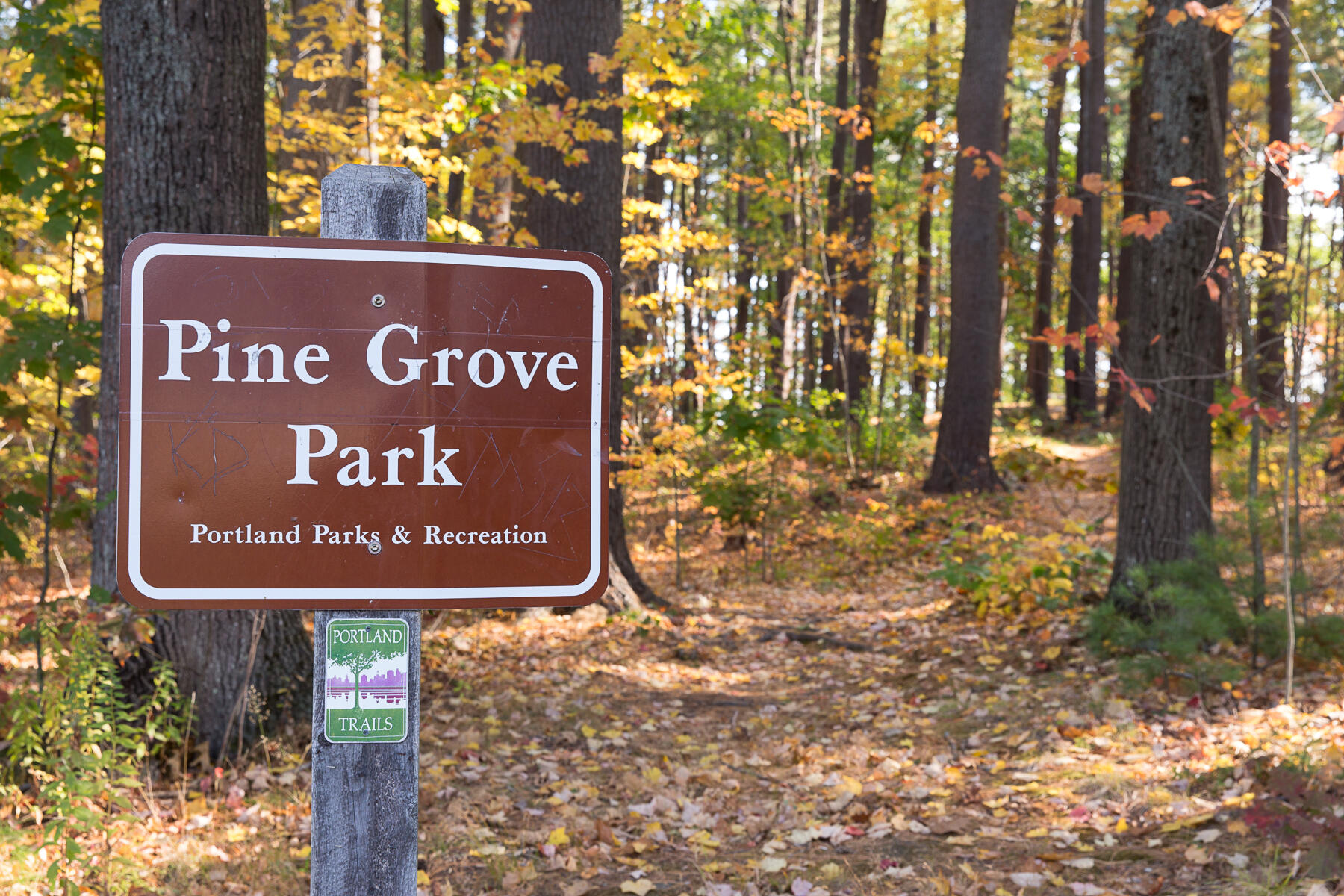 48 Pennell Avenue, Portland, ME, 04103