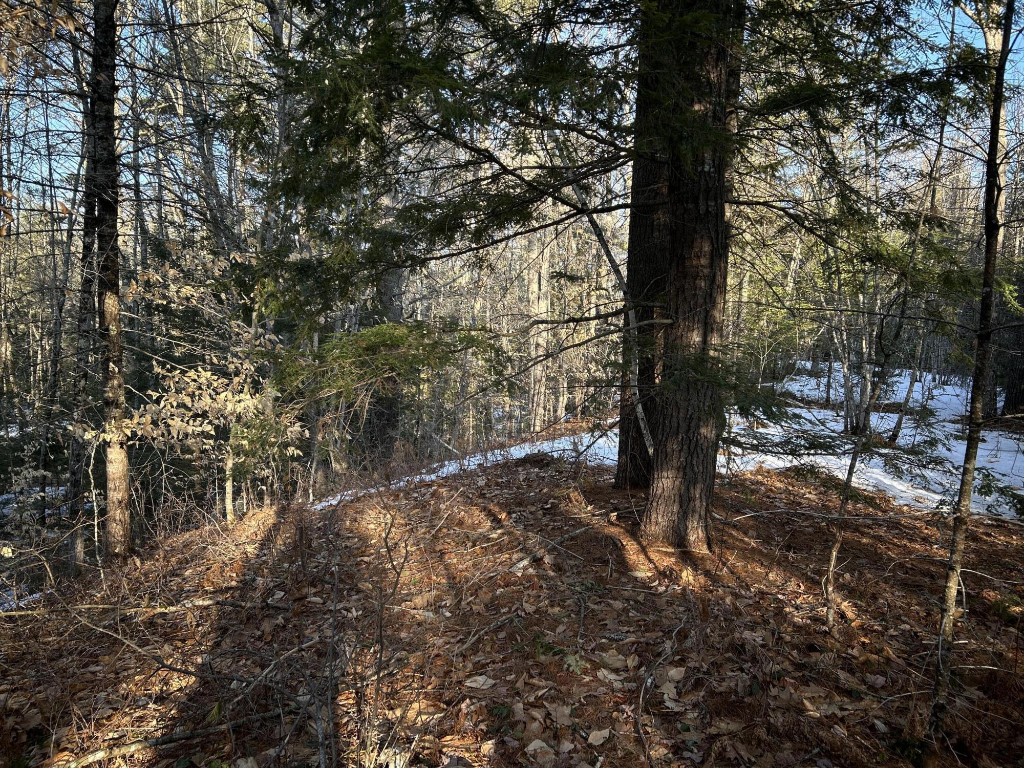 Map13Lot11 Field View Road, Fryeburg, ME, 04037