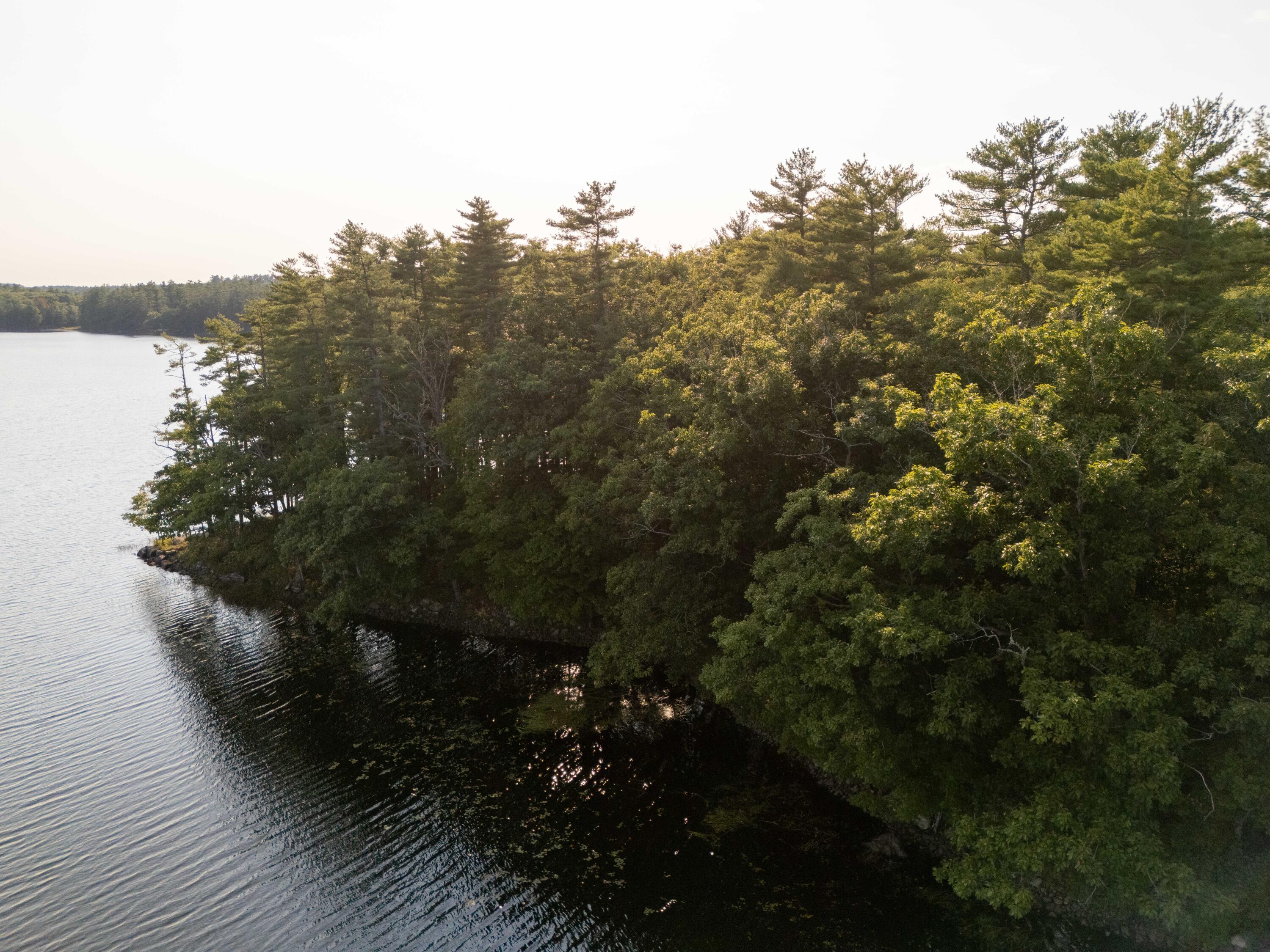 320 Hinks Rd-66
