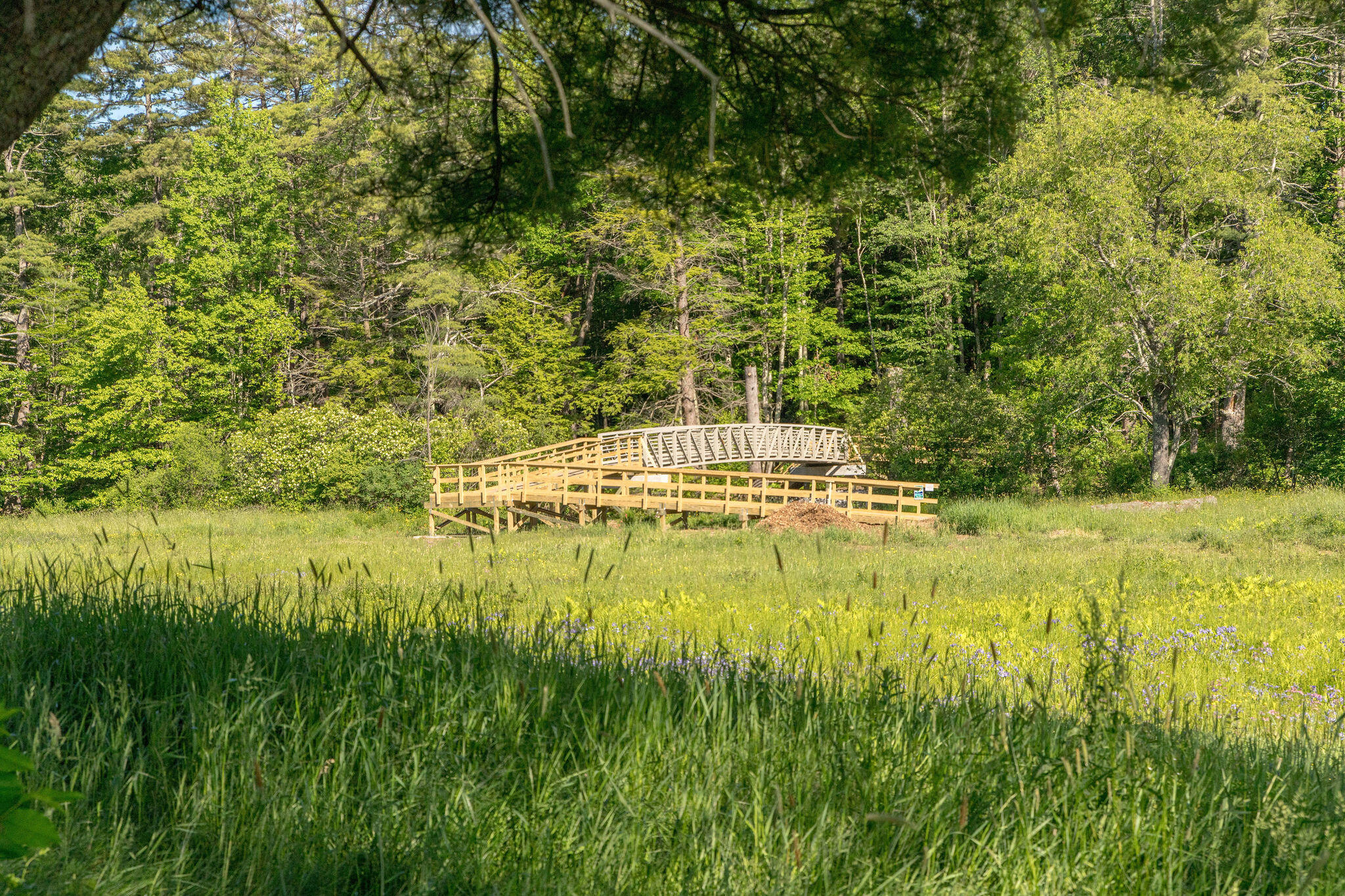 163 Owl's Nest Road, Portland, ME 04102 Bridge over the river with trail all the way to Smiling HIll Farm and Thompsons Point