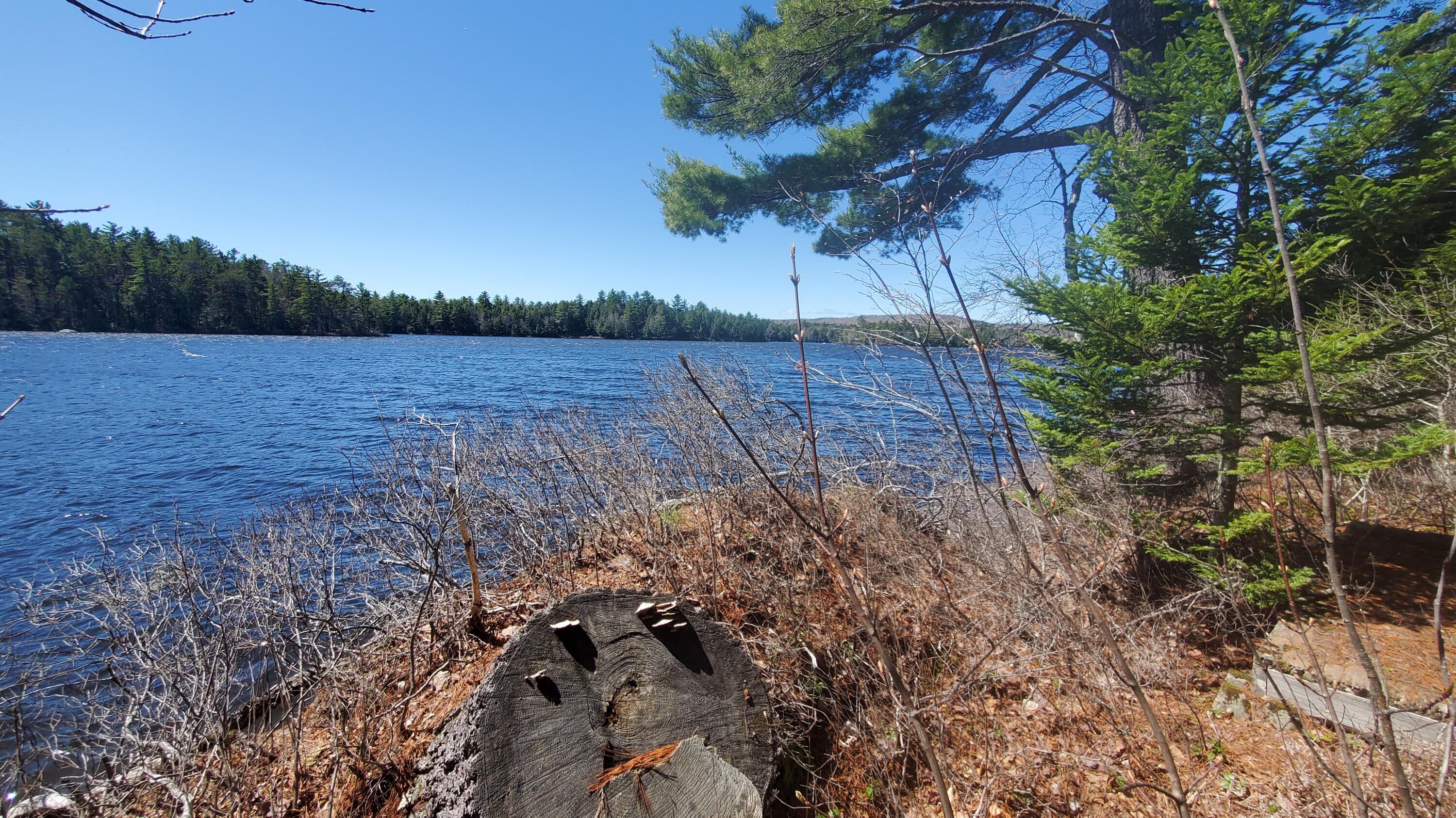 307 Lakeville Shores Road, Lakeville, ME, 04487