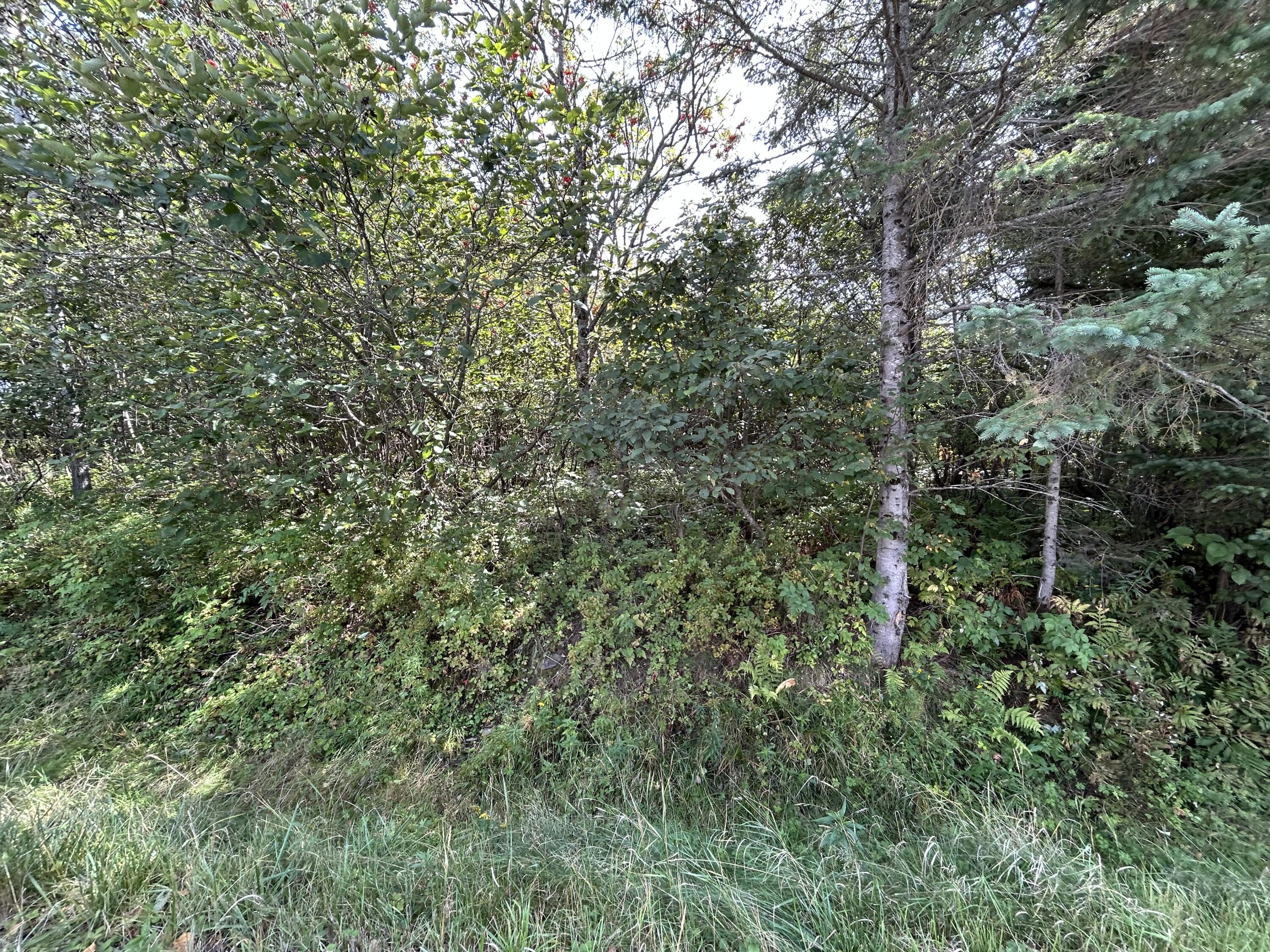 Photo of M38/L33 Grandview Avenue Rangeley ME 04970