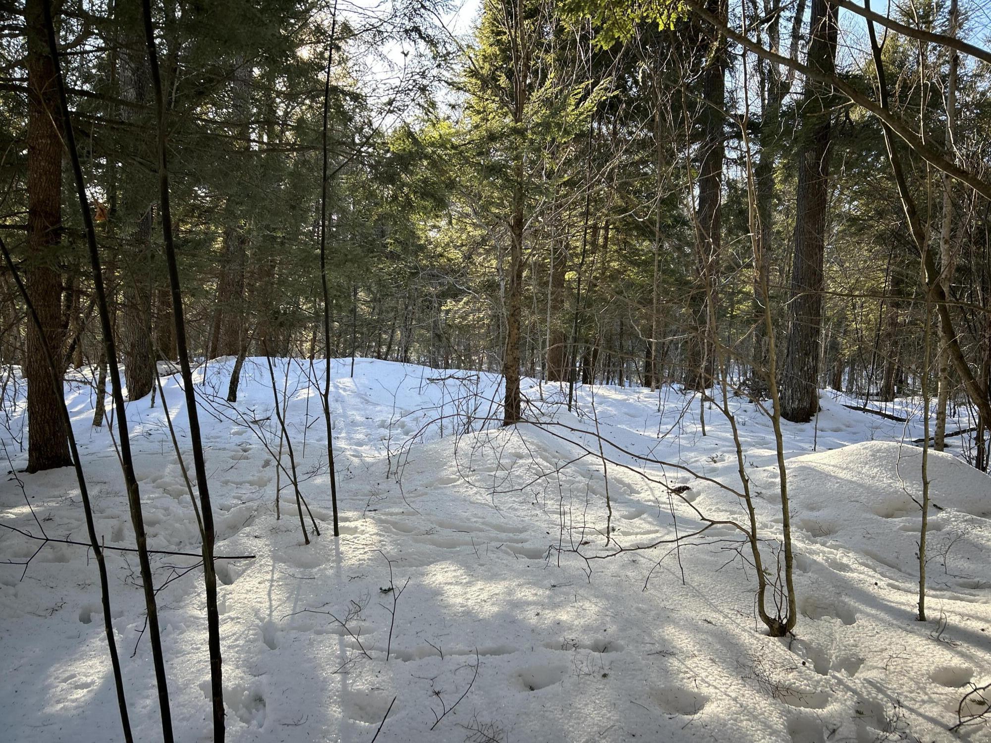 M7L22 Nelson Ridge Road N, Washington, ME, 04574