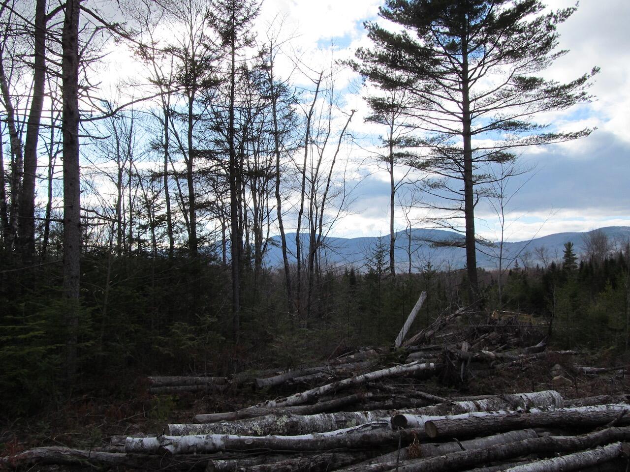 923 Center Hill Road, Weld, ME, 04285