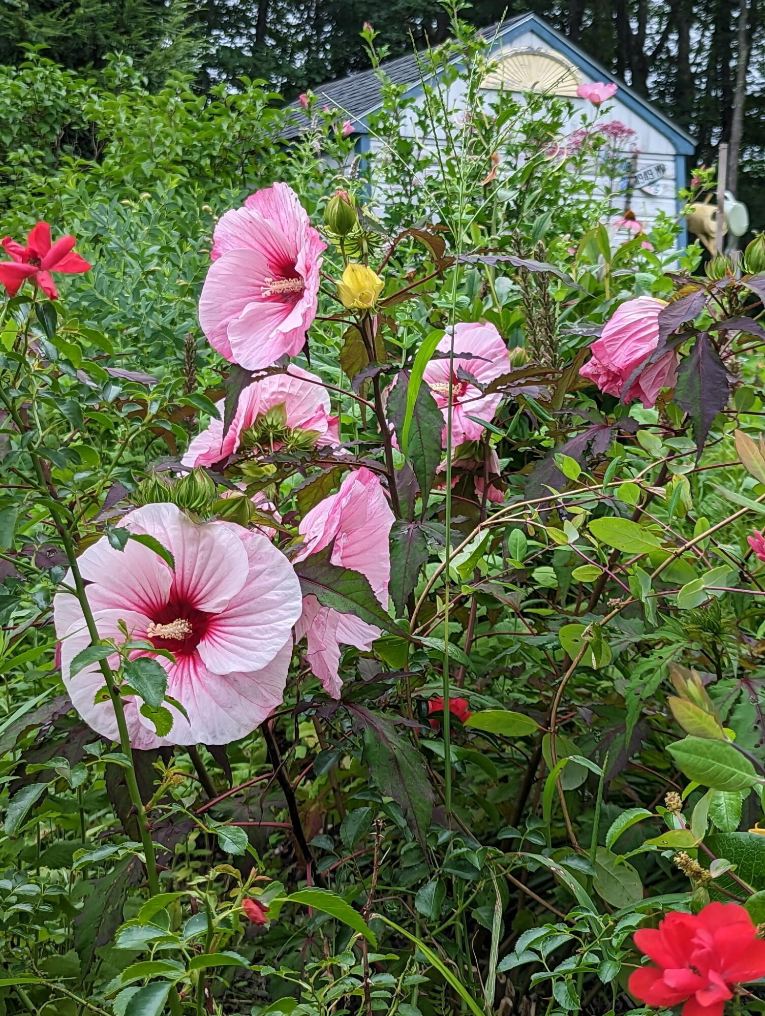 48 Pennell Avenue, Portland, ME, 04103