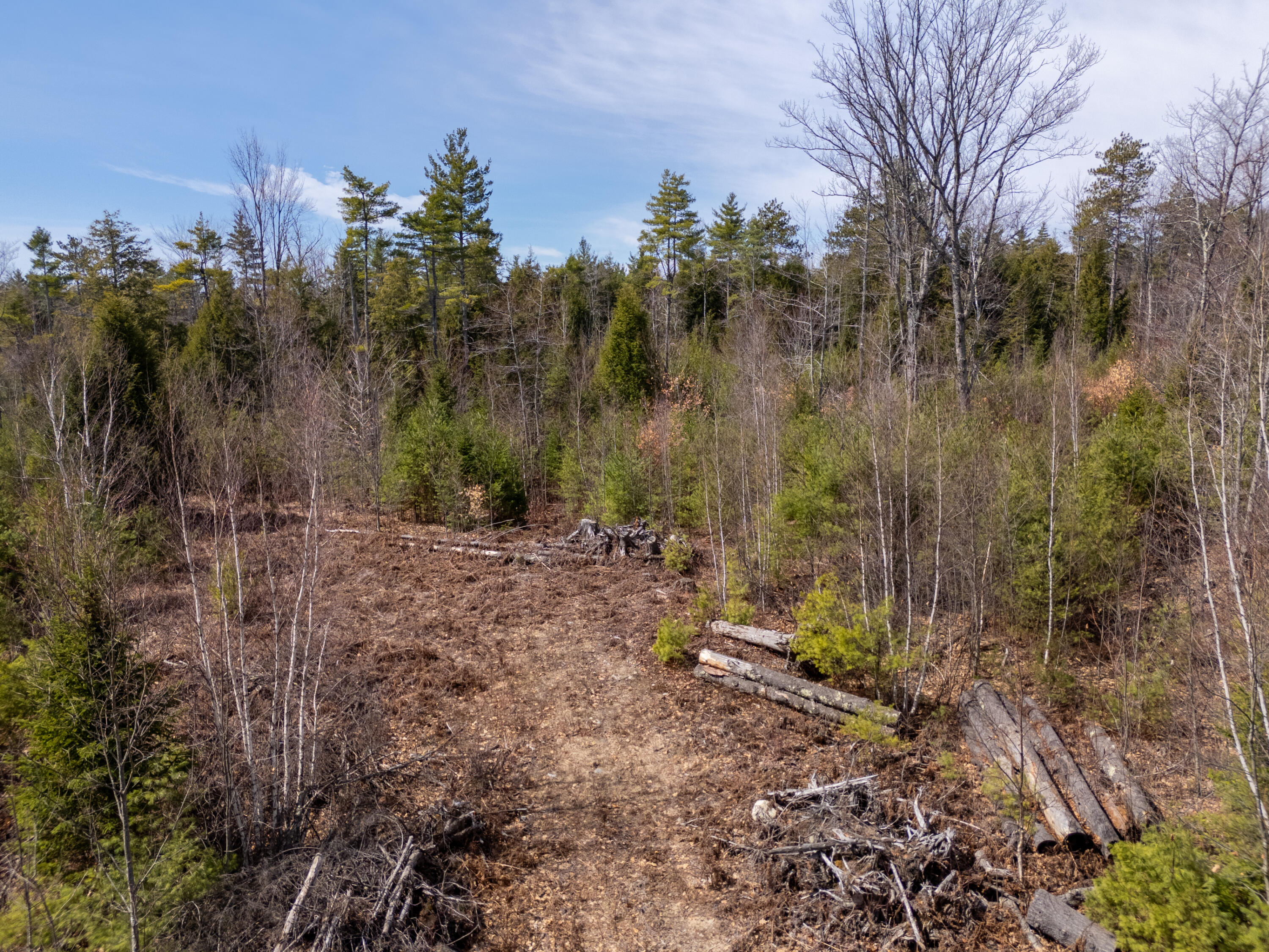 Lot 2 Bell Hill Road Subdivision LLC Road, Otisfield, ME, 04270