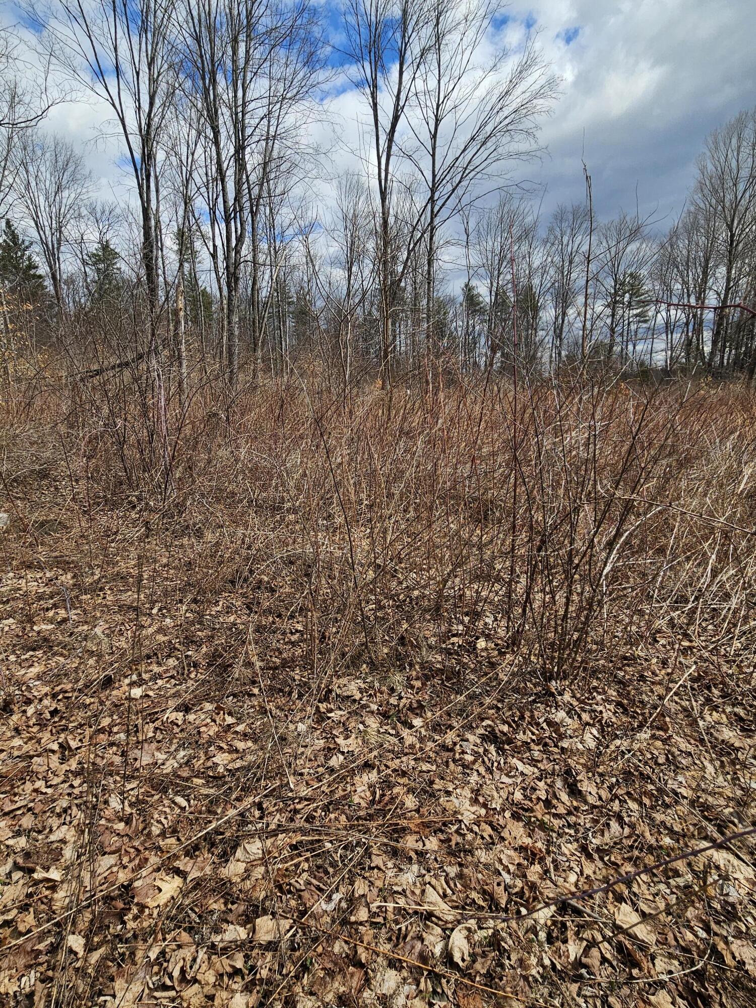 Lot 113-2 Cushman Road, Winslow, ME, 04901
