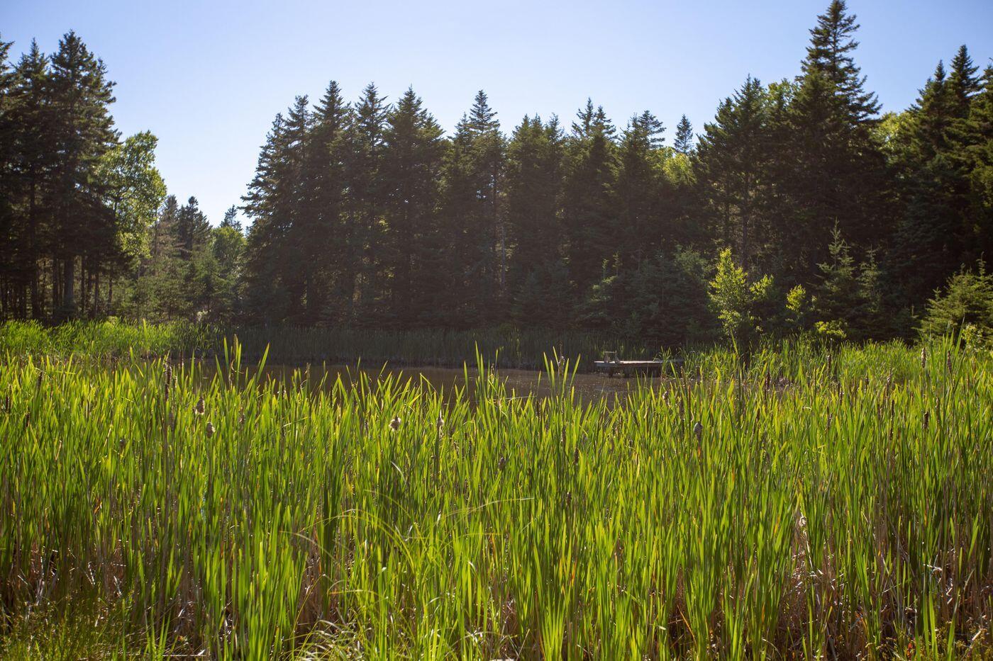 Lot 001 Sheephead Island, Deer Isle, ME, 04627