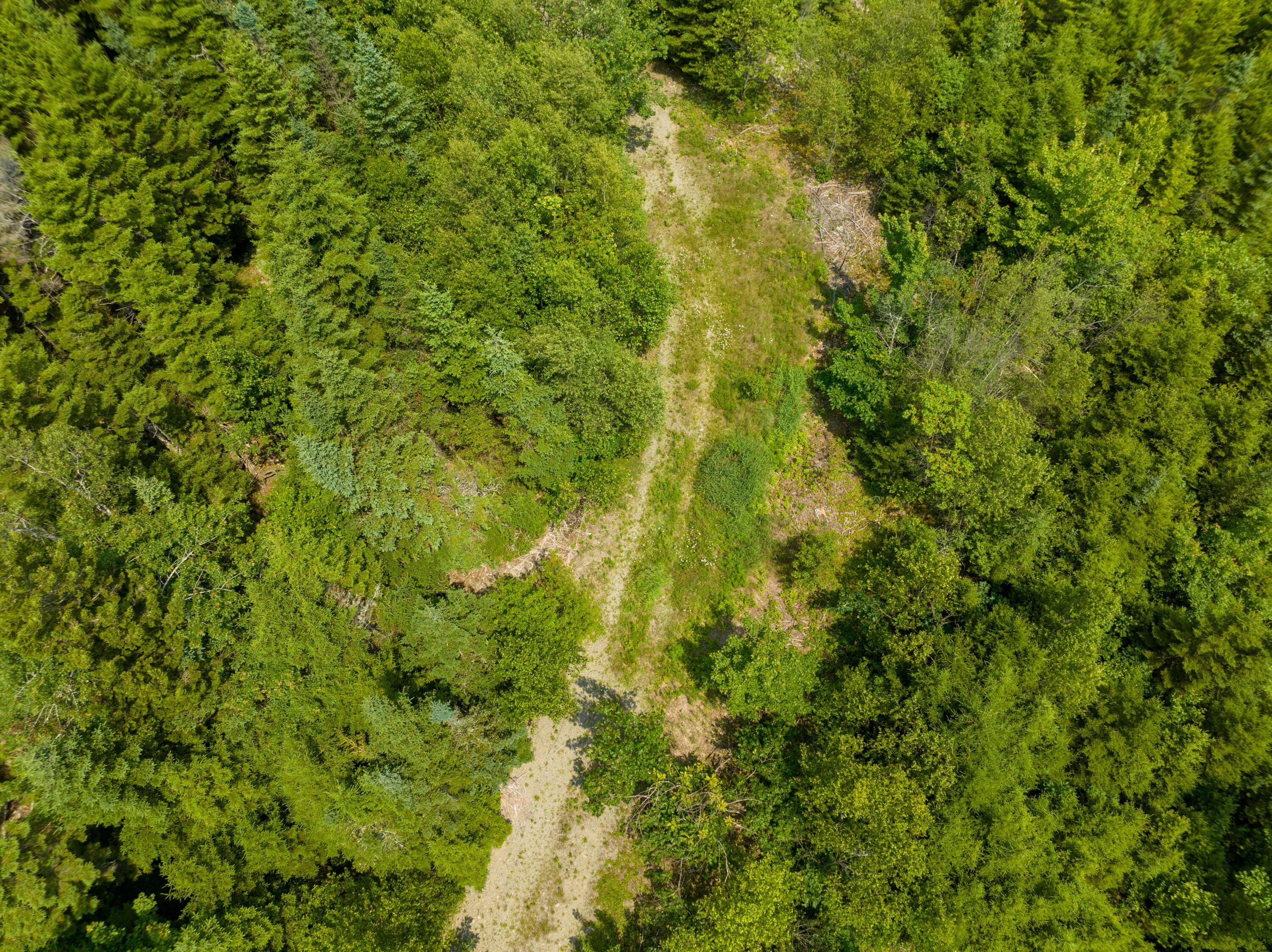 65 Lookout Mountain Road, East Machias, ME, 04630