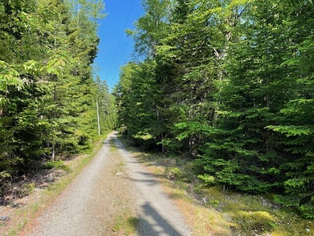 Lot 15-5 Fort Williams Road, Harrington, ME, 04643