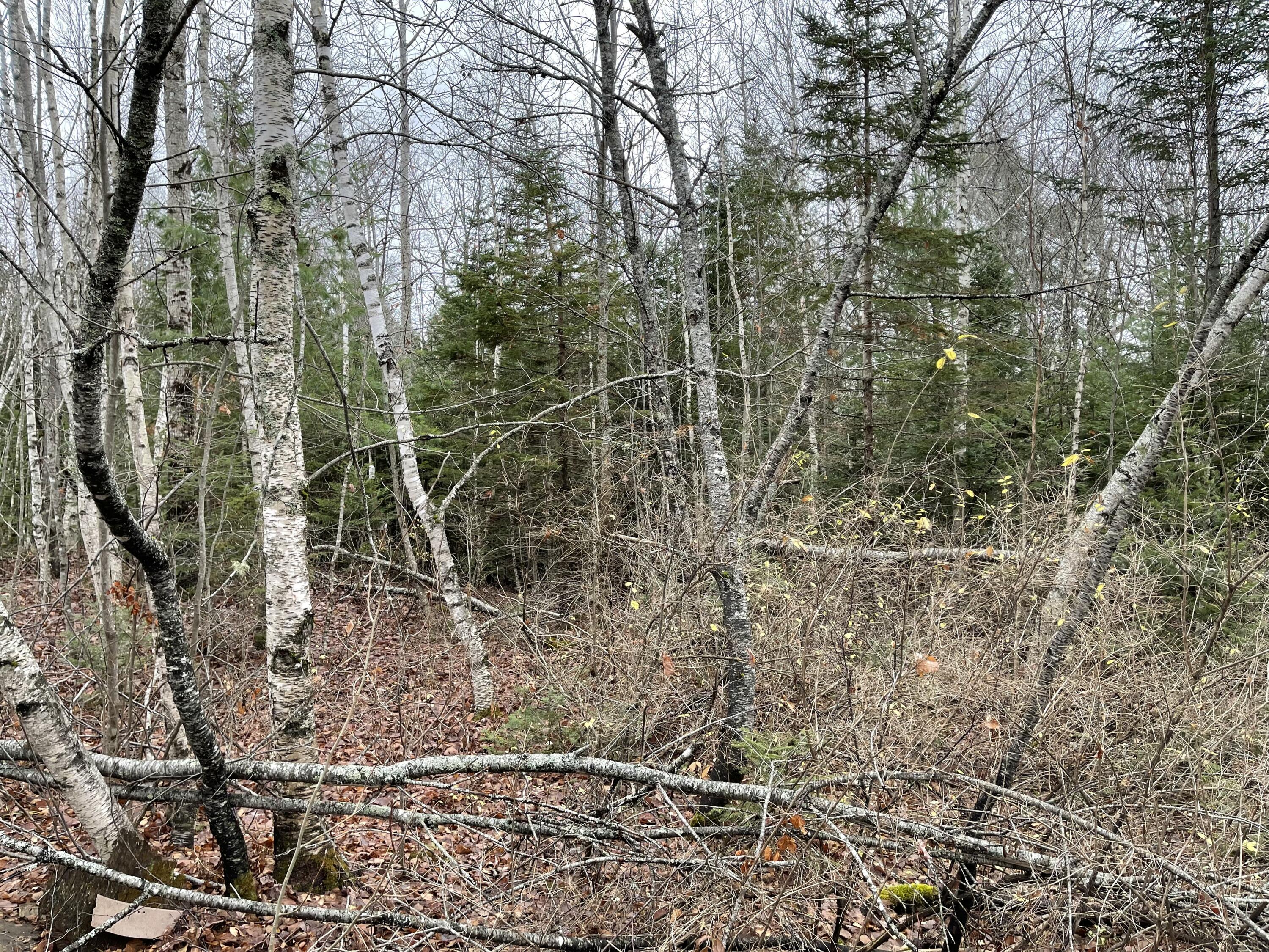 194 E Gulch Road, Thorndike, ME, 04986