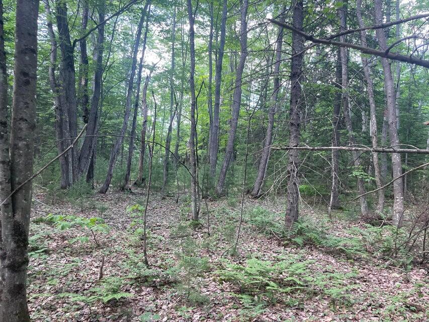 80 Gammon Road, Peru, ME, 04290