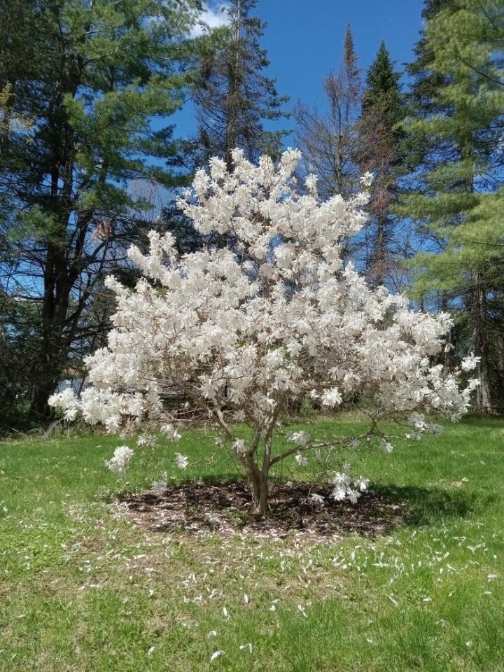 497 Back Road, Shapleigh, ME, 04076