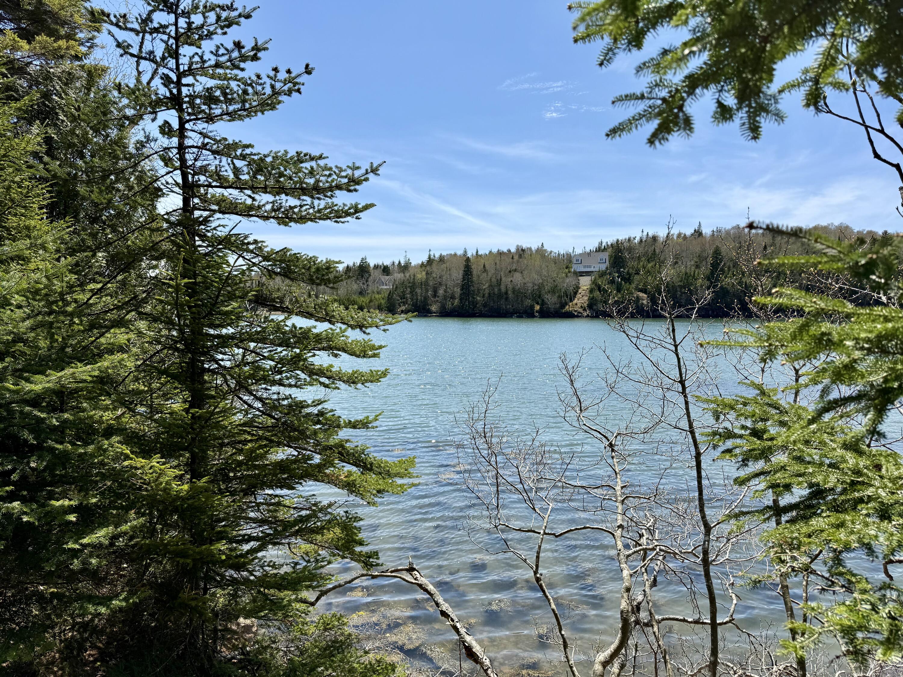 Lot 15 Collins Cove Road, Machiasport, ME, 04655