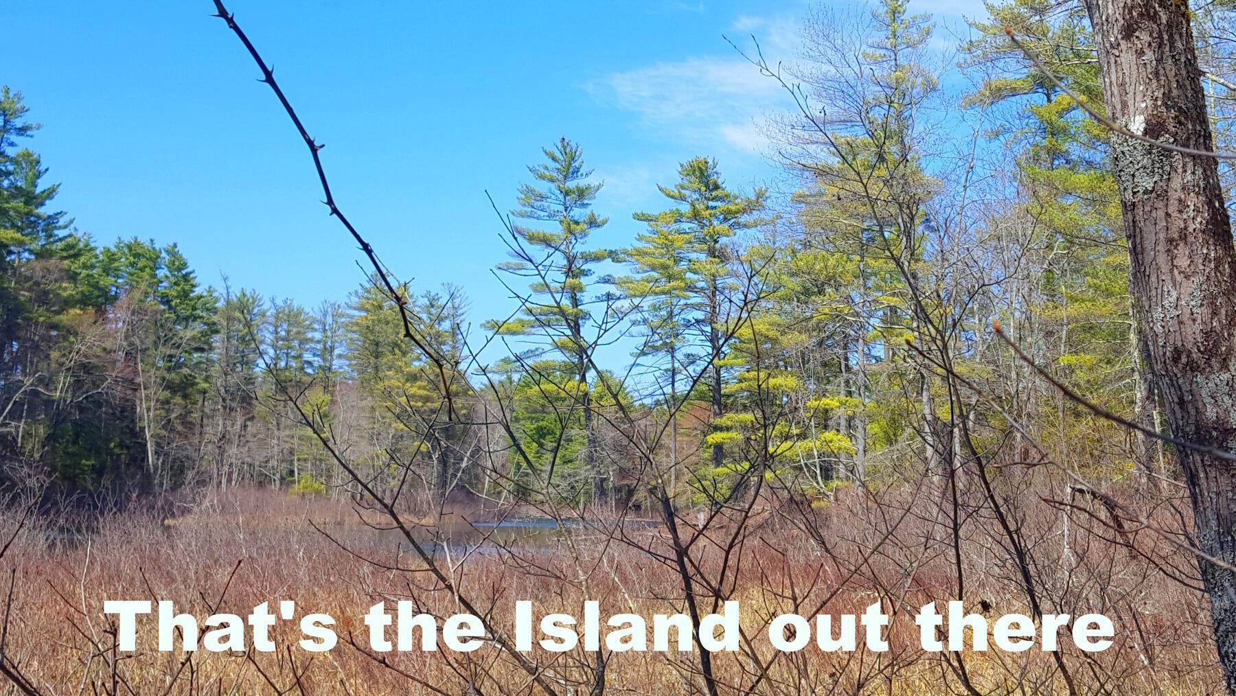 594 River Road Road, Windham, ME, 04062