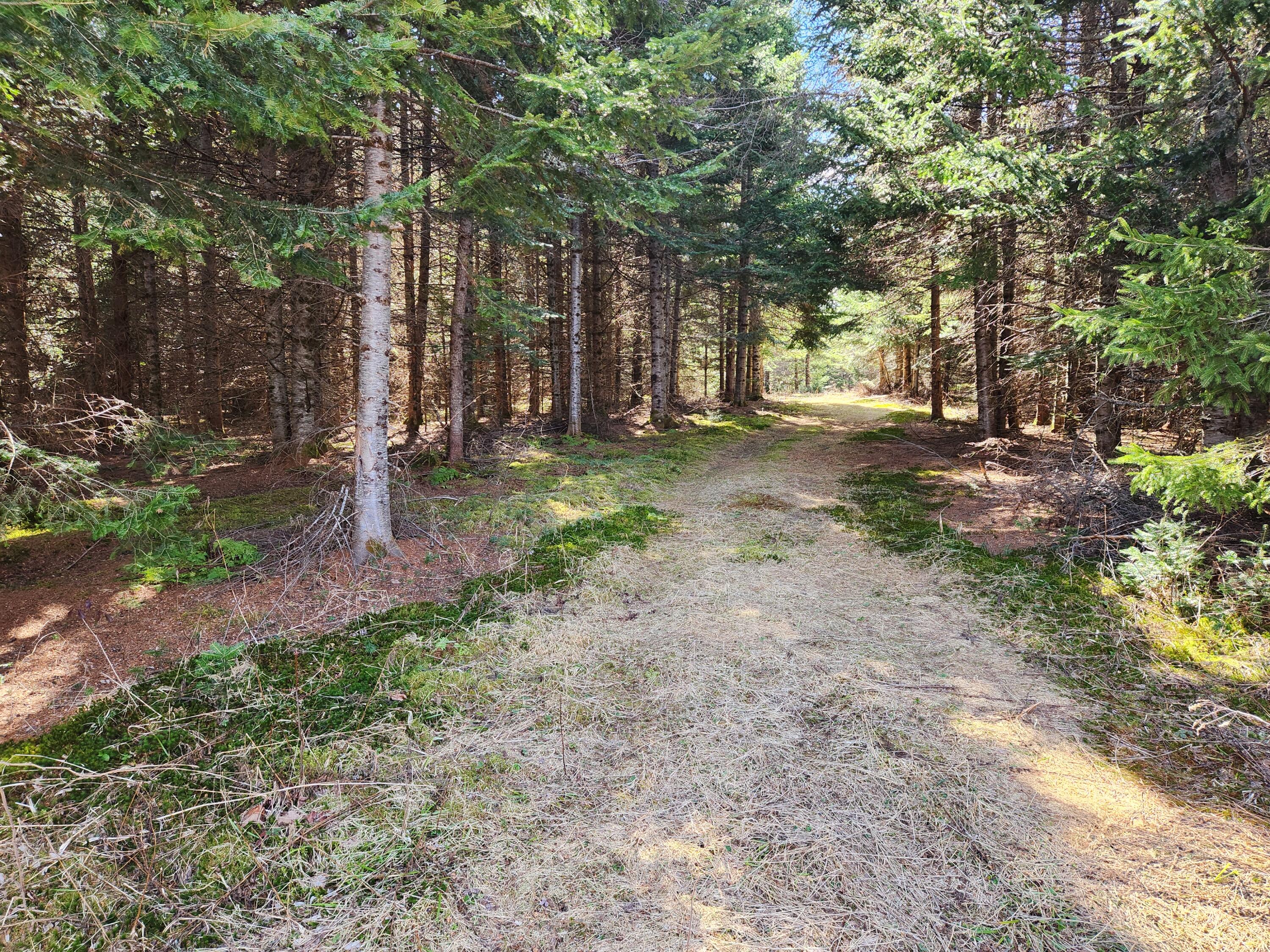 9C West Gate Road, Caswell, ME, 04750