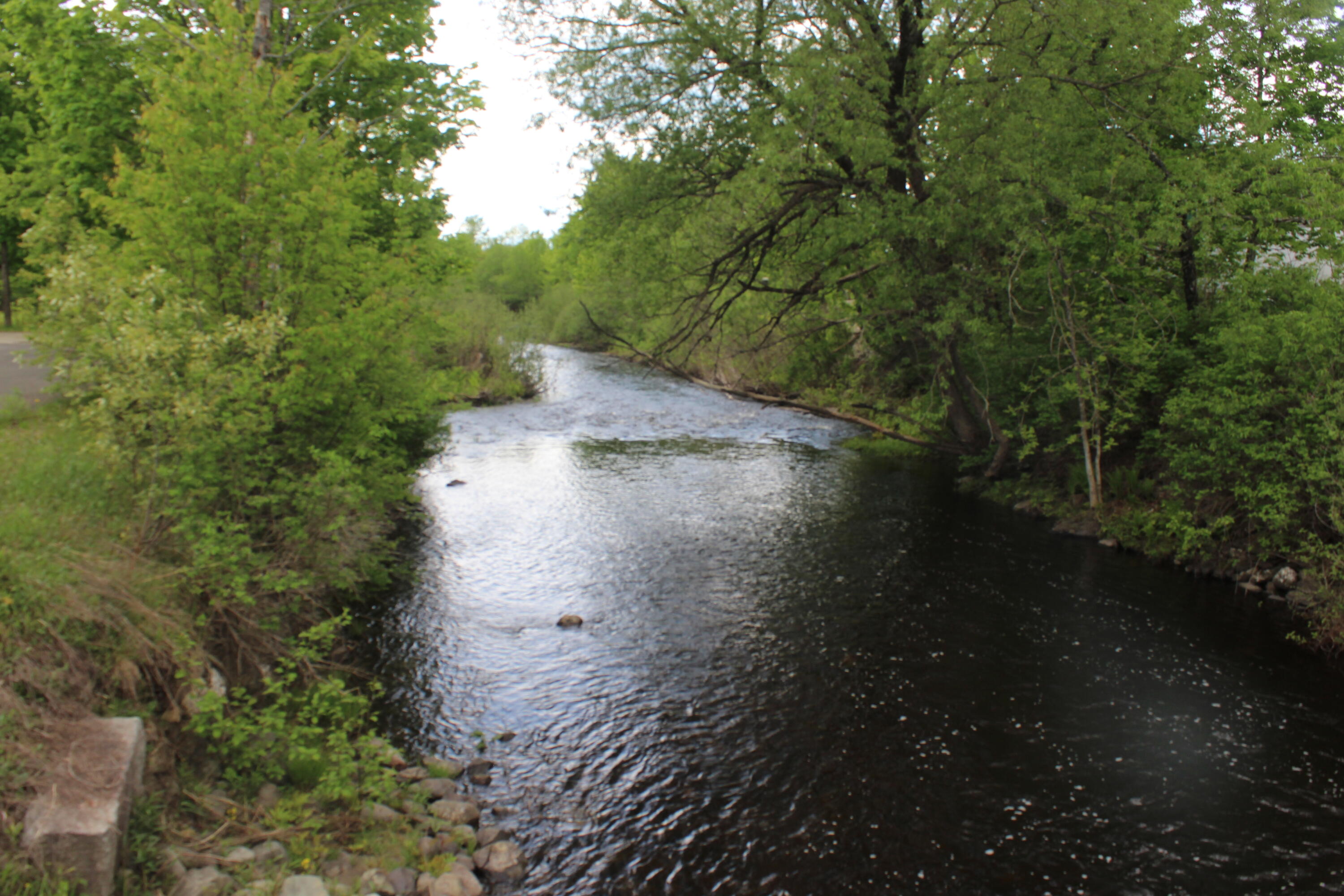 Stream