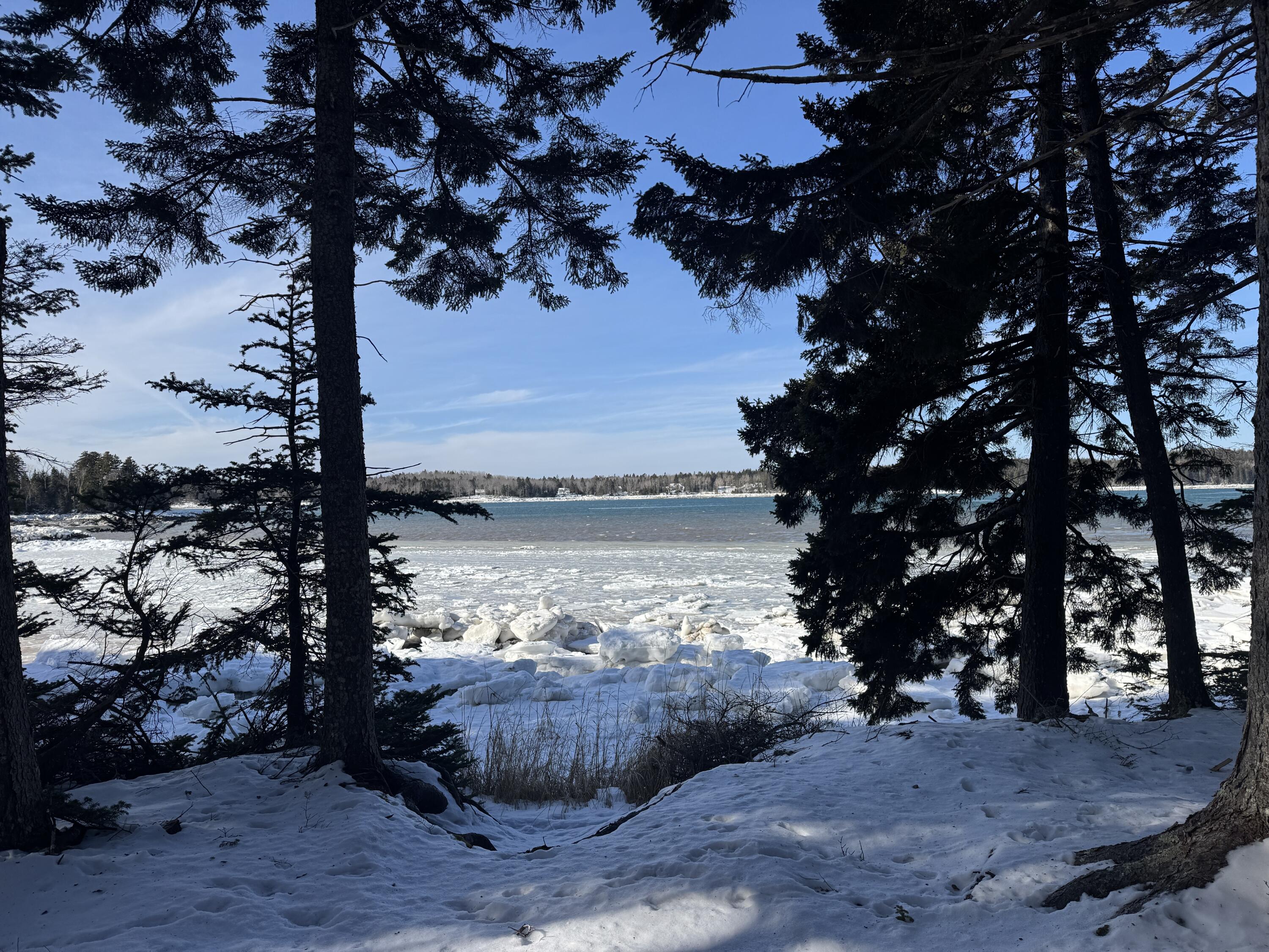 Lot B Fort Williams Road, Harrington, ME, 04643