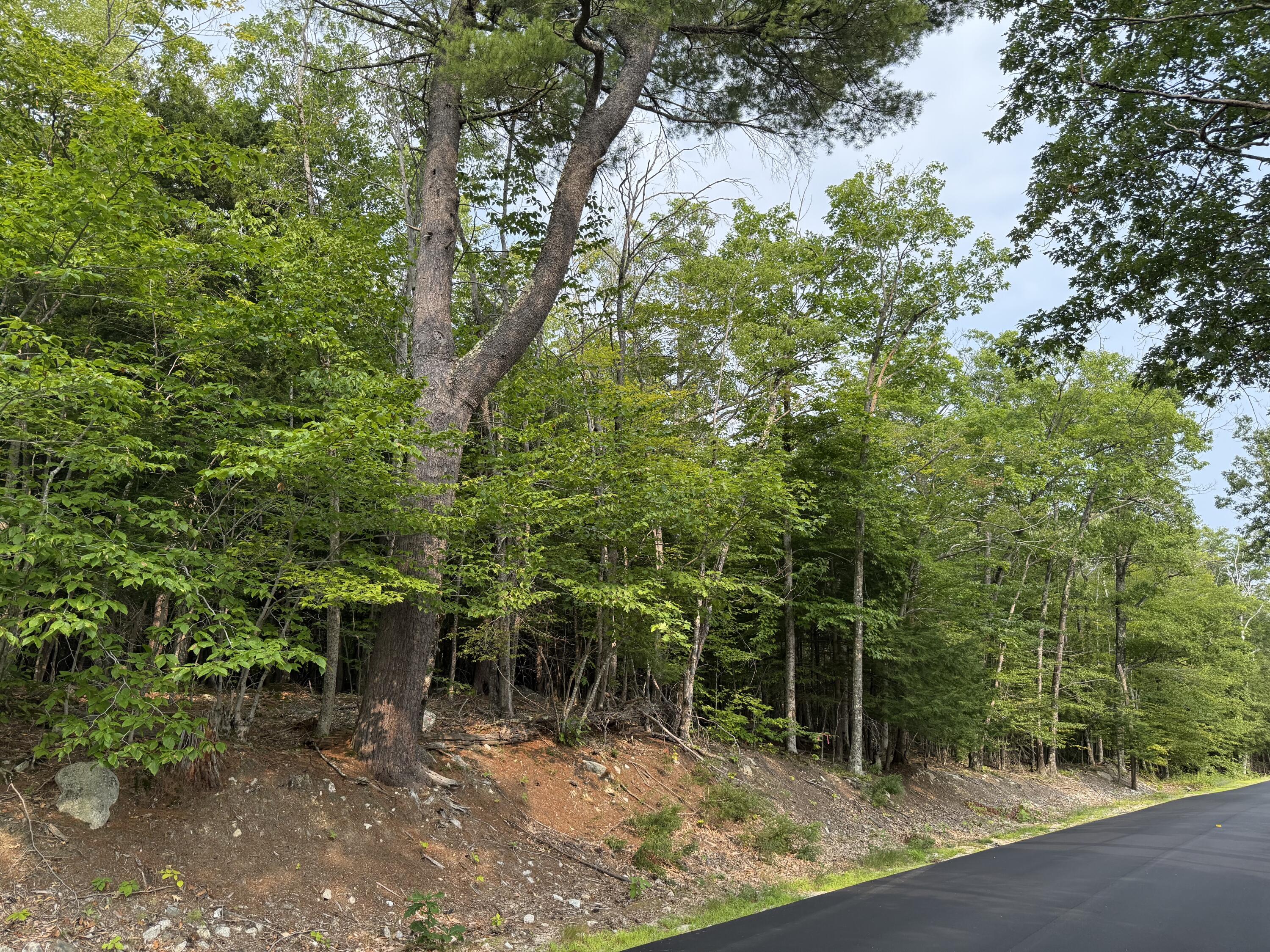 Lot 15-3B Sweden Road, Bridgton, ME, 04009