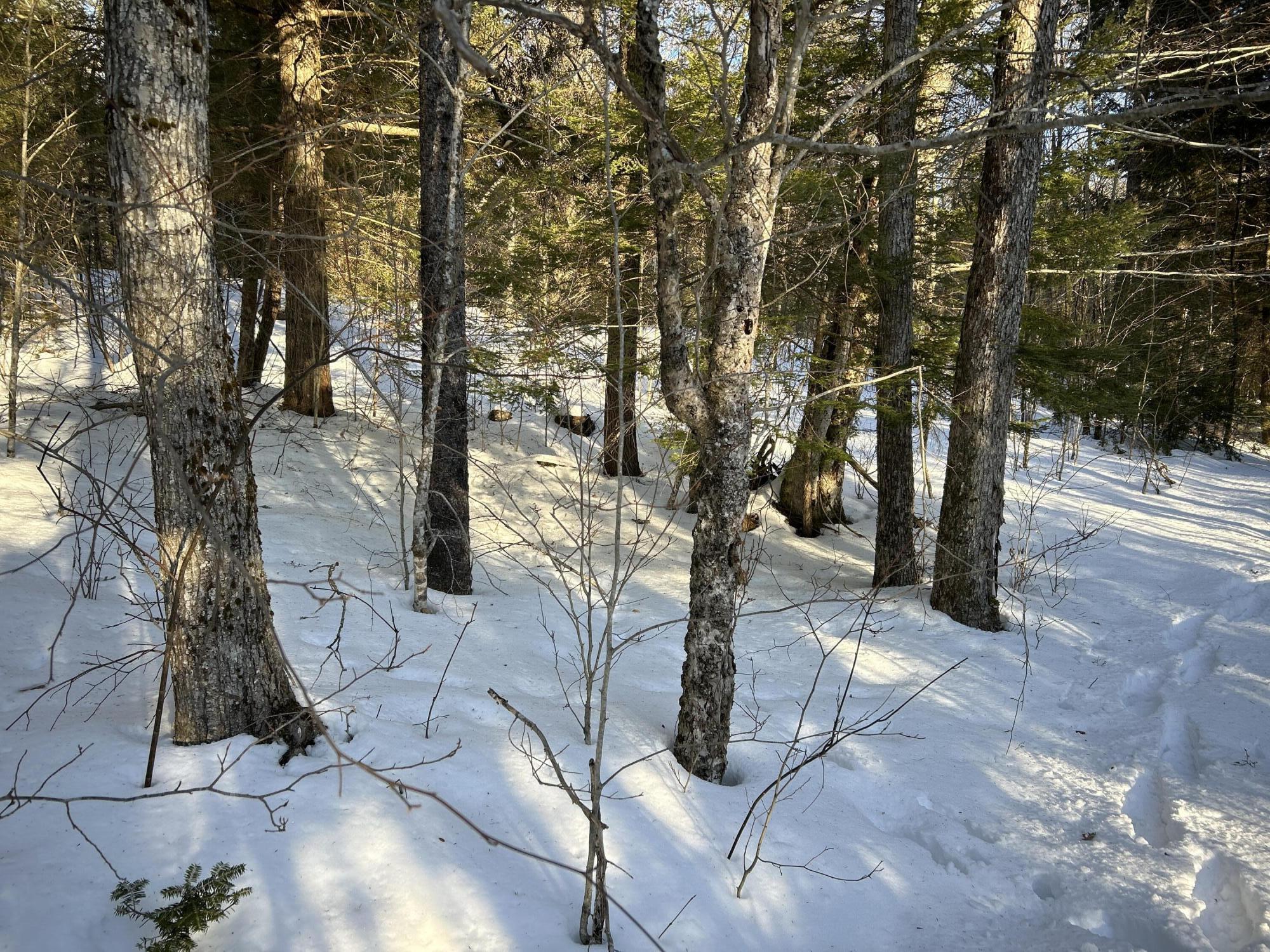 M7L22 Nelson Ridge Road N, Washington, ME, 04574