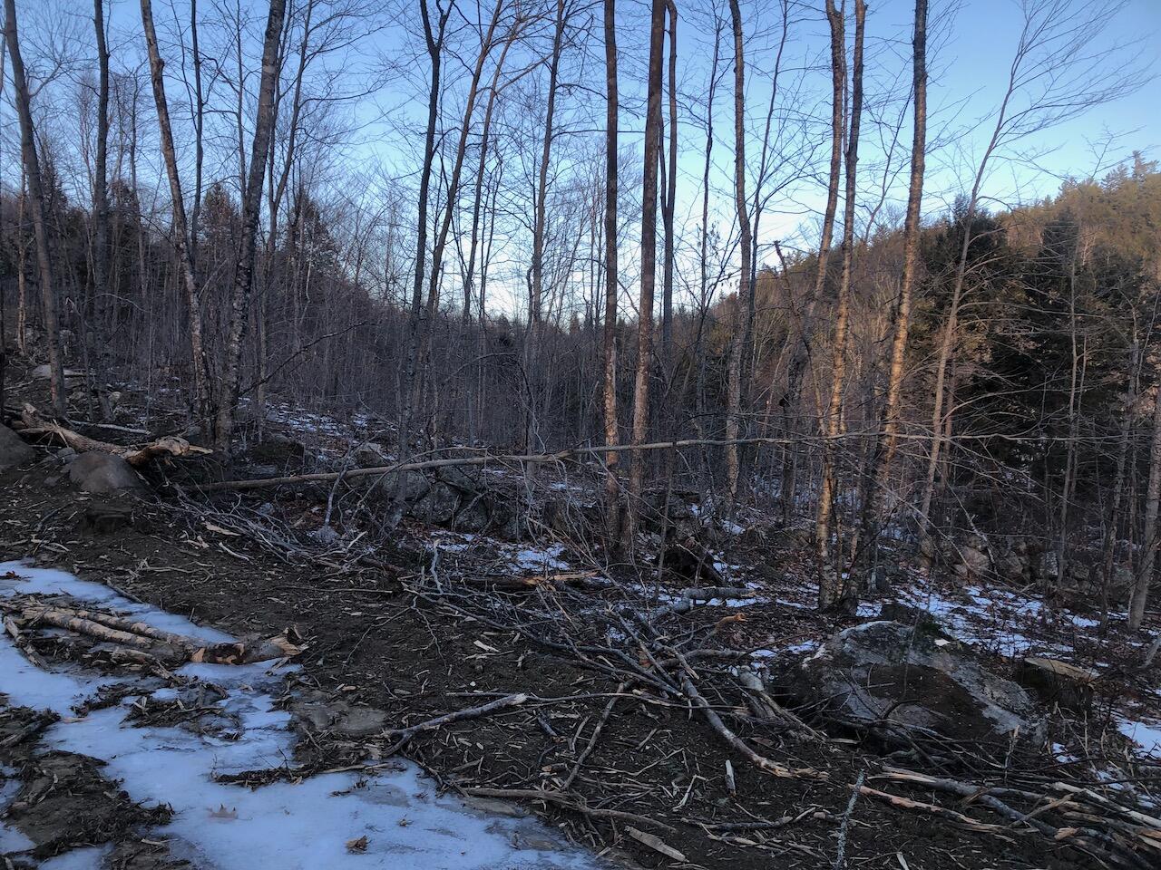 L25 Canton Mountain Road, Jay, ME 04239 IMG_8017