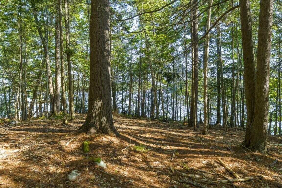 48 US Route 1, Edgecomb, ME, 04556