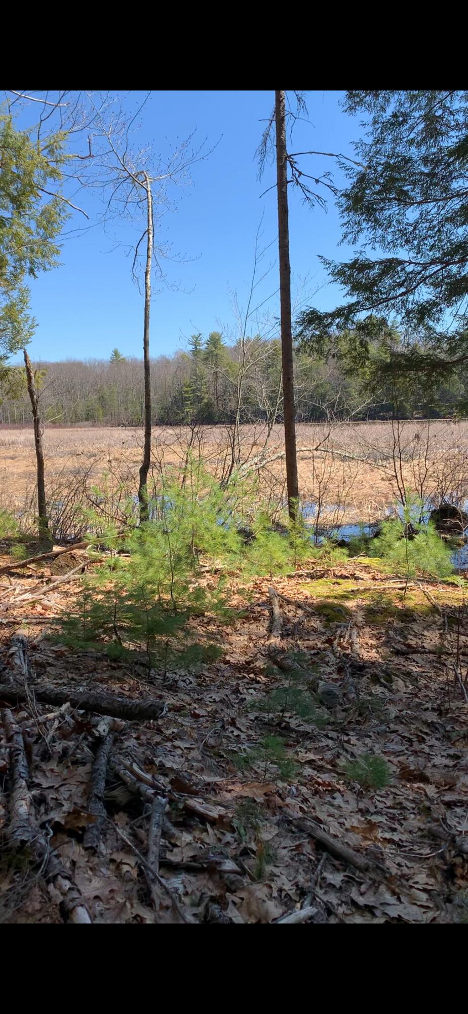 M3 L9 Winthrop Center Road, Winthrop, ME, 04364