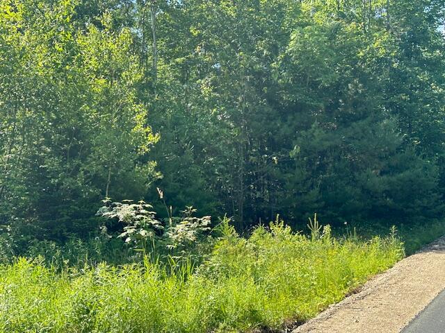 Lot UNIT&nbsp;4 Bonnie Way, Winterport, ME, 04496