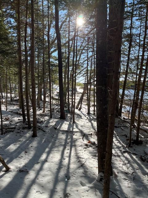 203 Garnet Head Road, Pembroke, ME, 04666