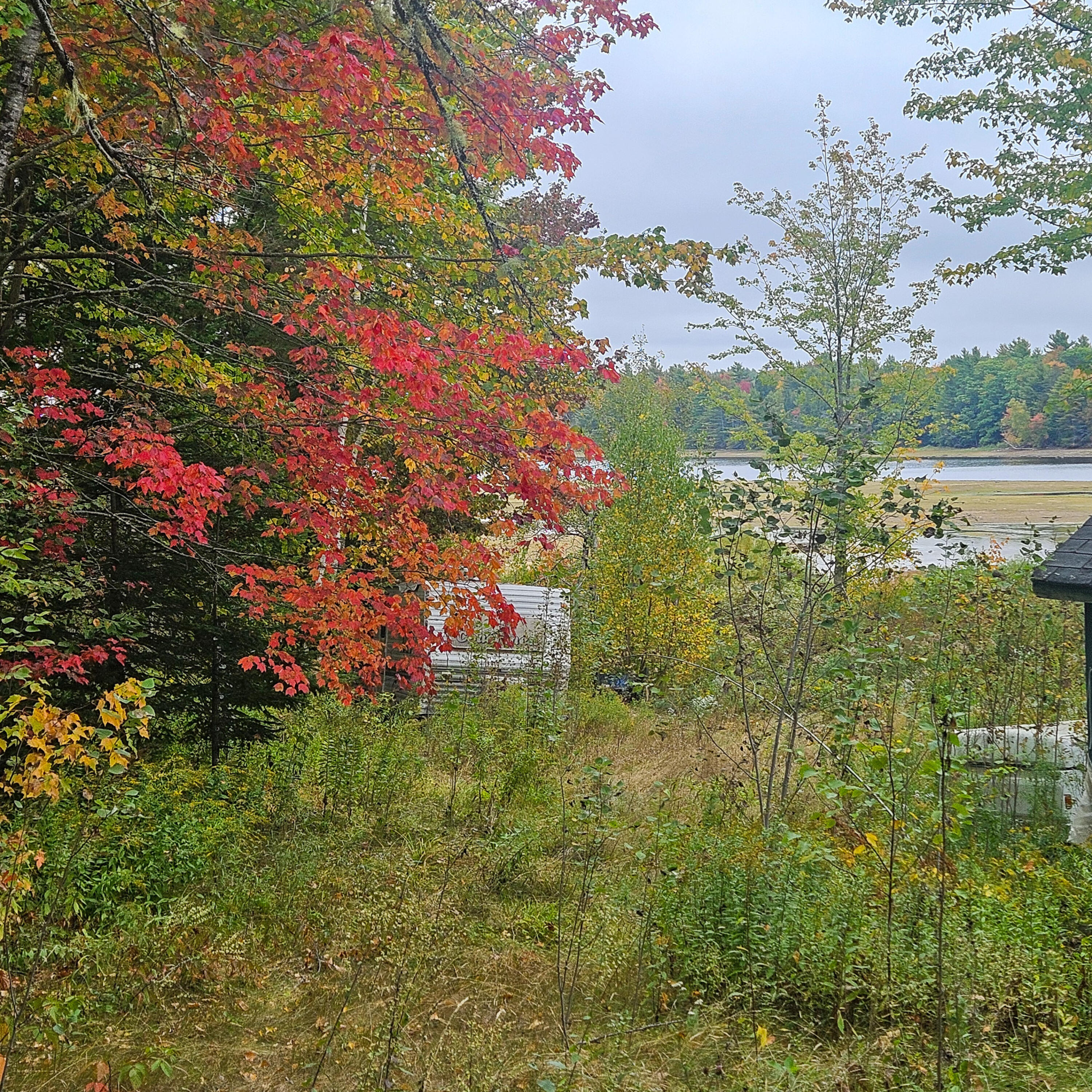 206 Morrison Farm Road, Mariaville, ME, 04605