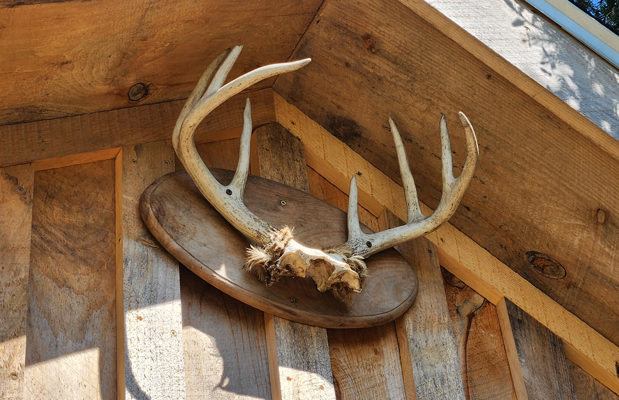 533 Mount Ephraim Map 4 Lot 63 Road, Searsport, ME, 04974